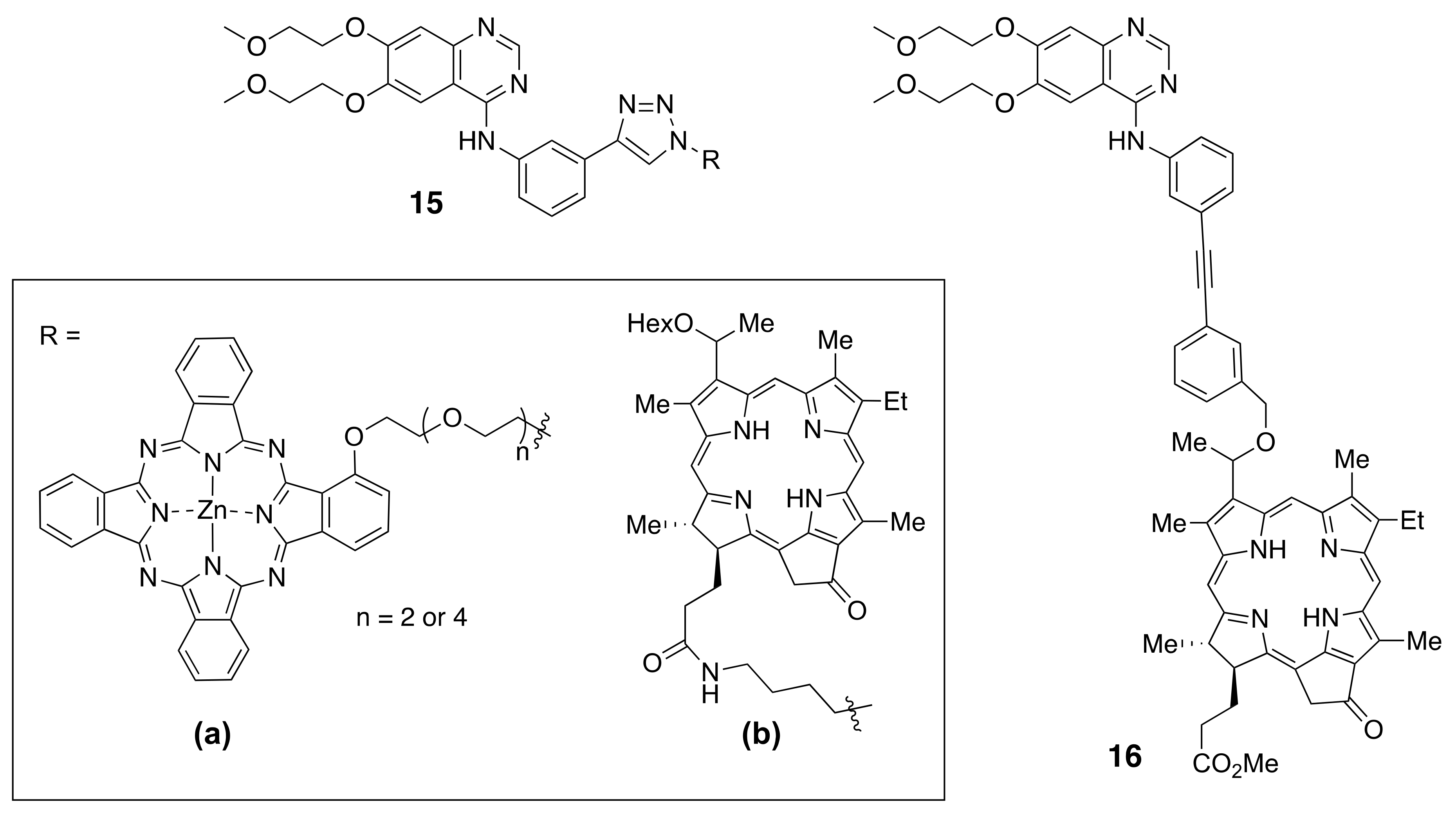 Molecules 26 01076 g009