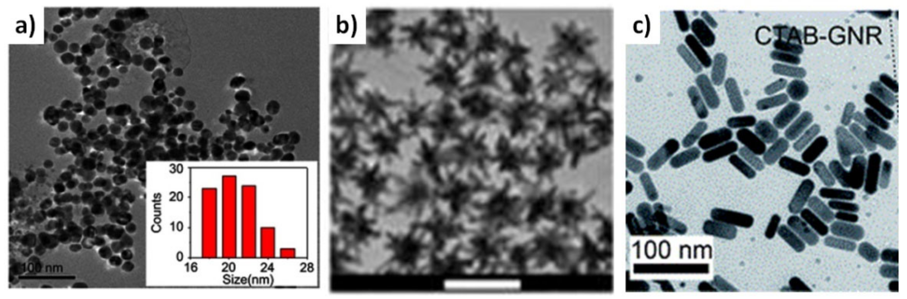 Molecules 26 01077 g005