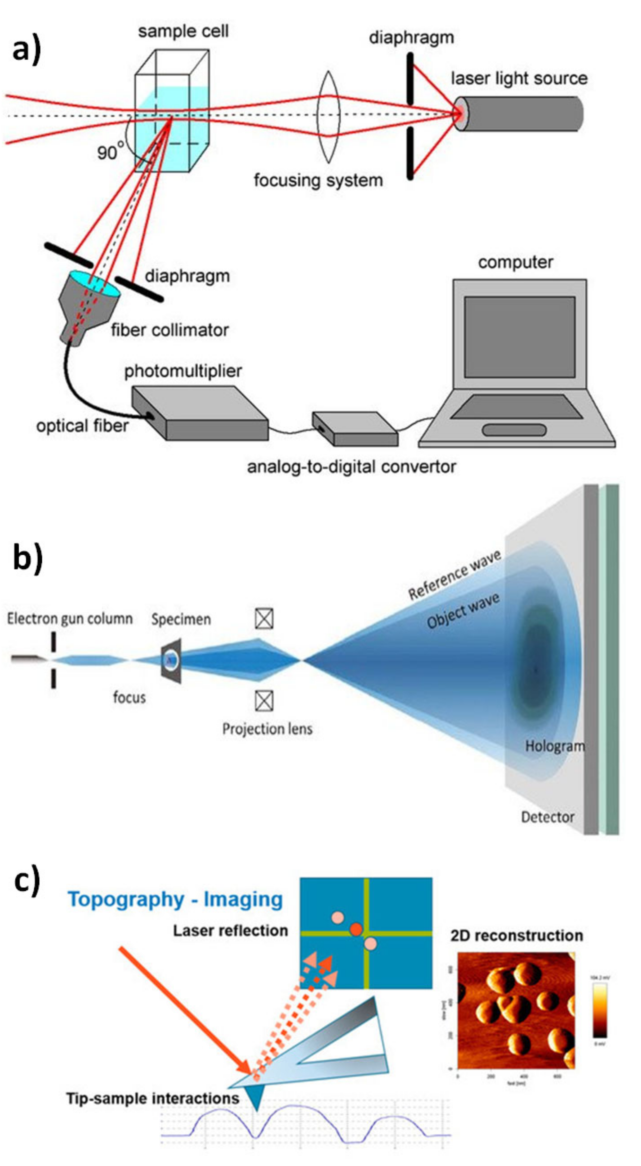 Molecules 26 01077 g010