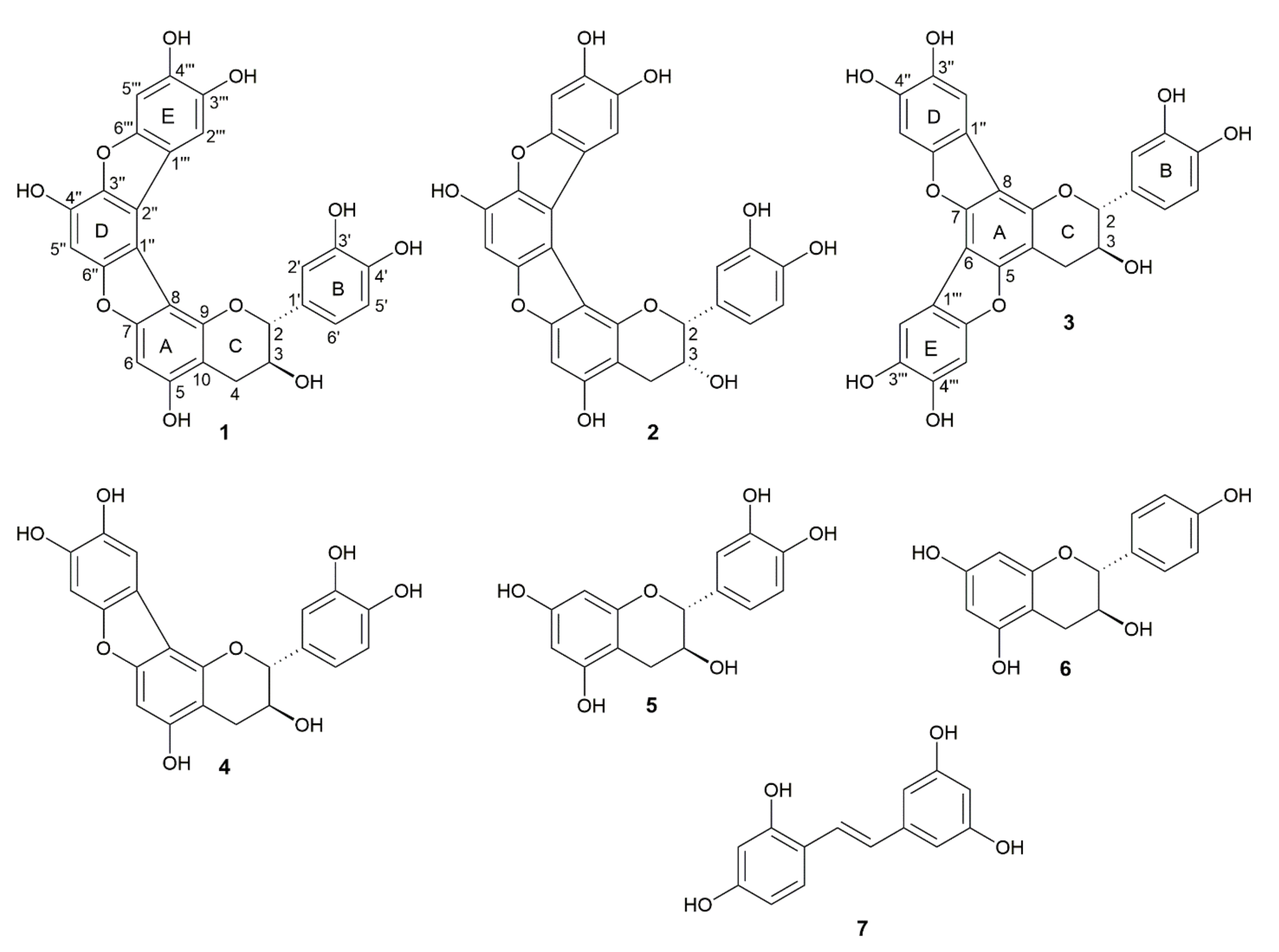 Molecules 26 01078 g001