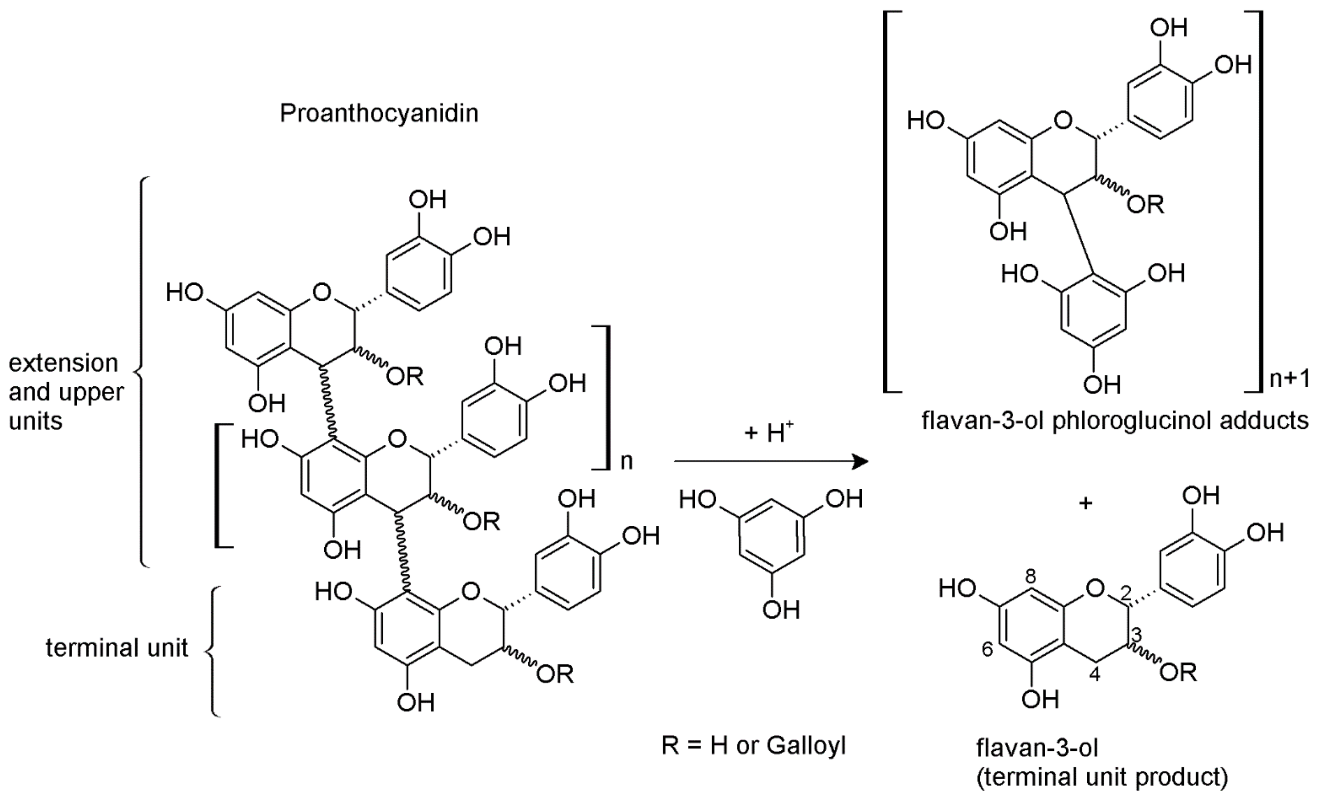 Molecules 26 01087 g002 Molecules 26 01087 g002