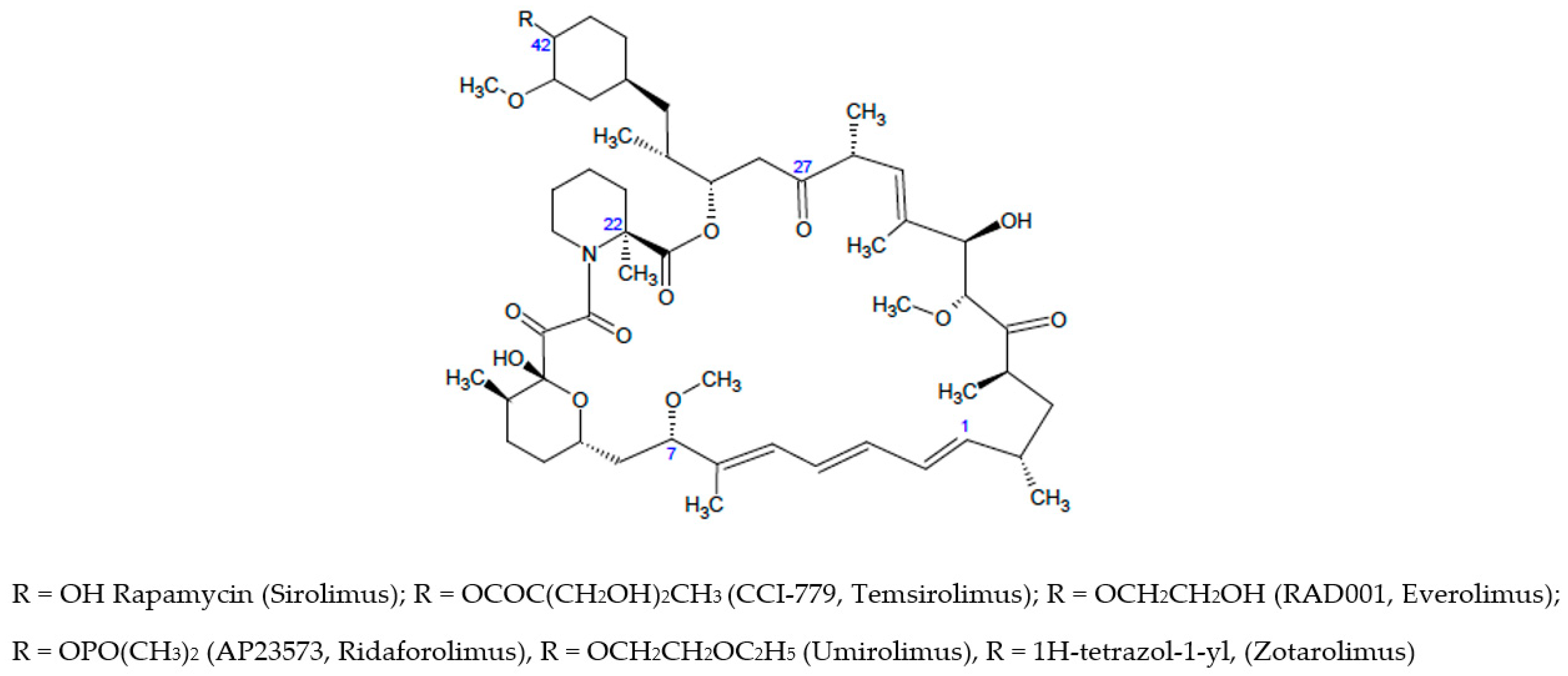 Molecules 26 01103 sch001