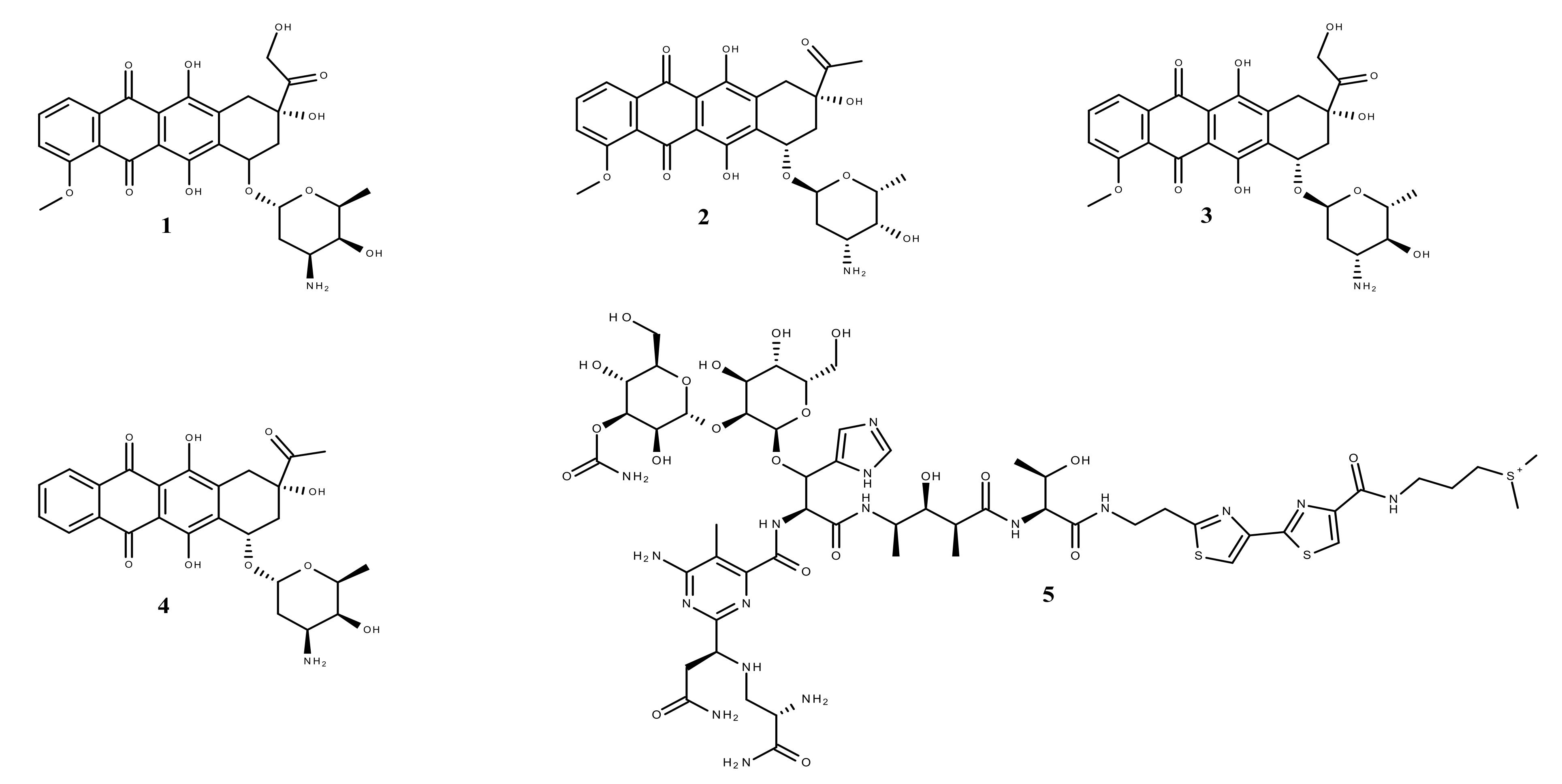 Molecules 26 01109 g001