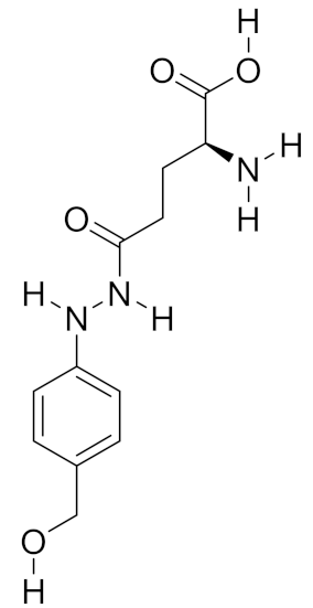 Molecules 26 01113 i001 Molecules 26 01113 i001