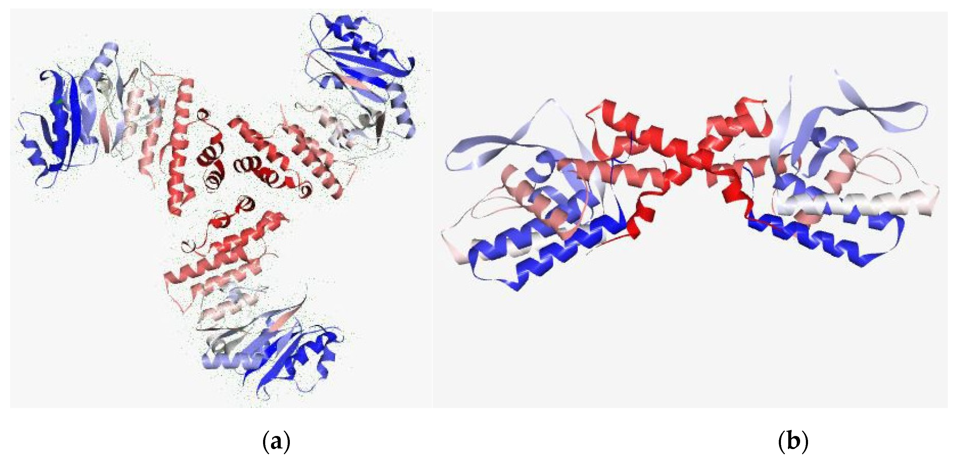 Molecules 26 01114 g004