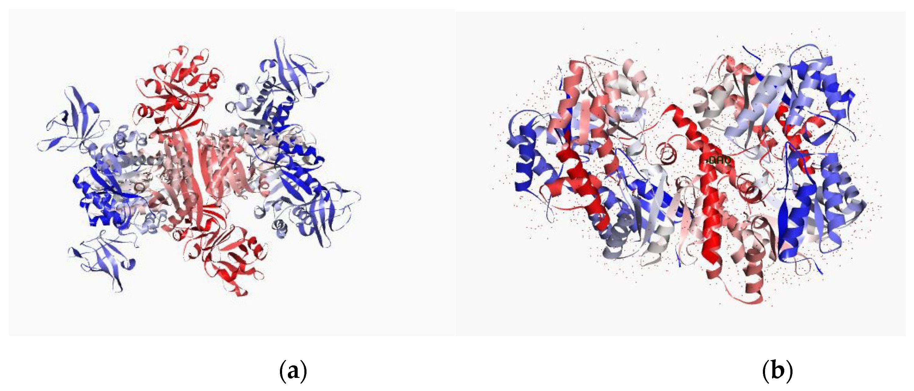 Molecules 26 01114 g005