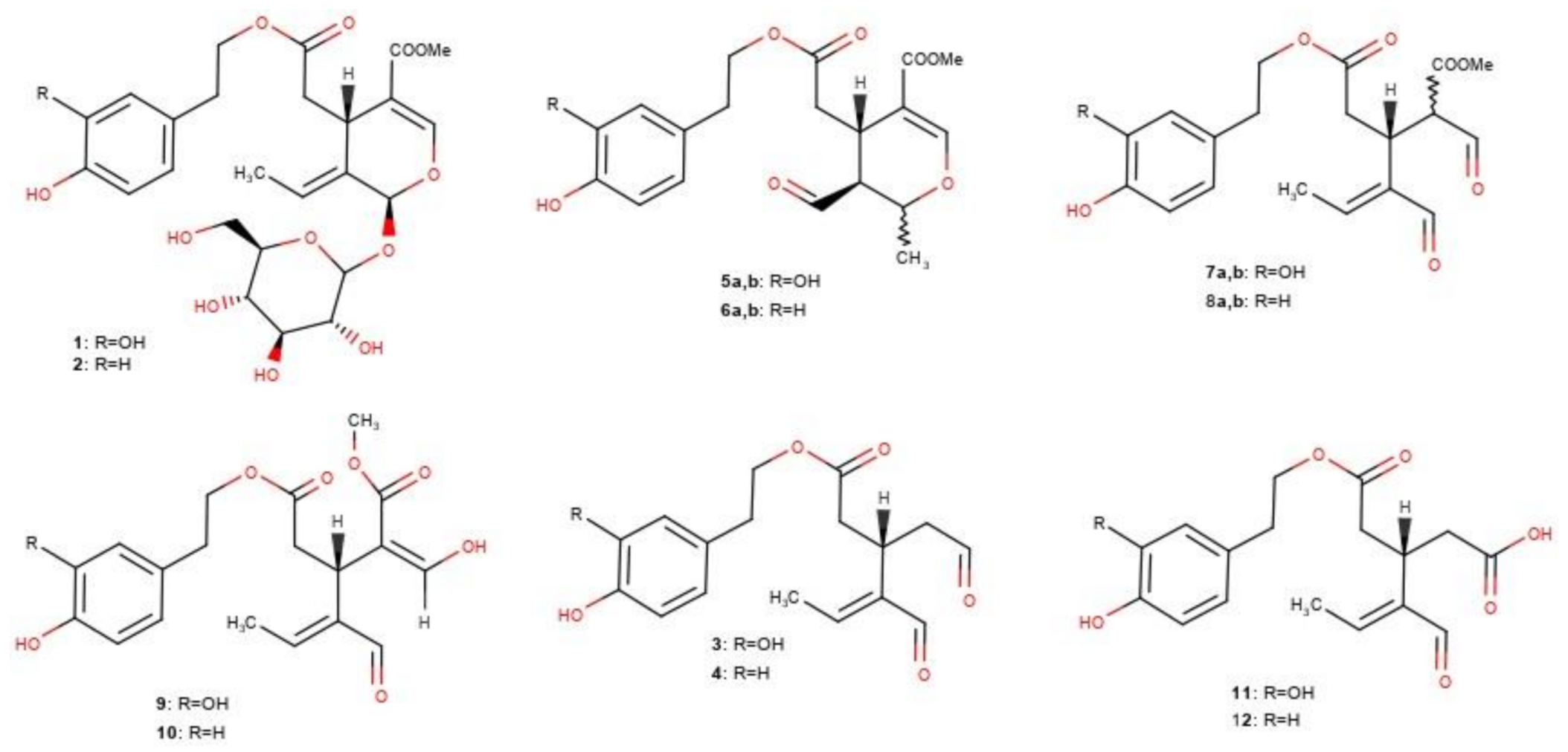 Molecules 26 01115 g001
