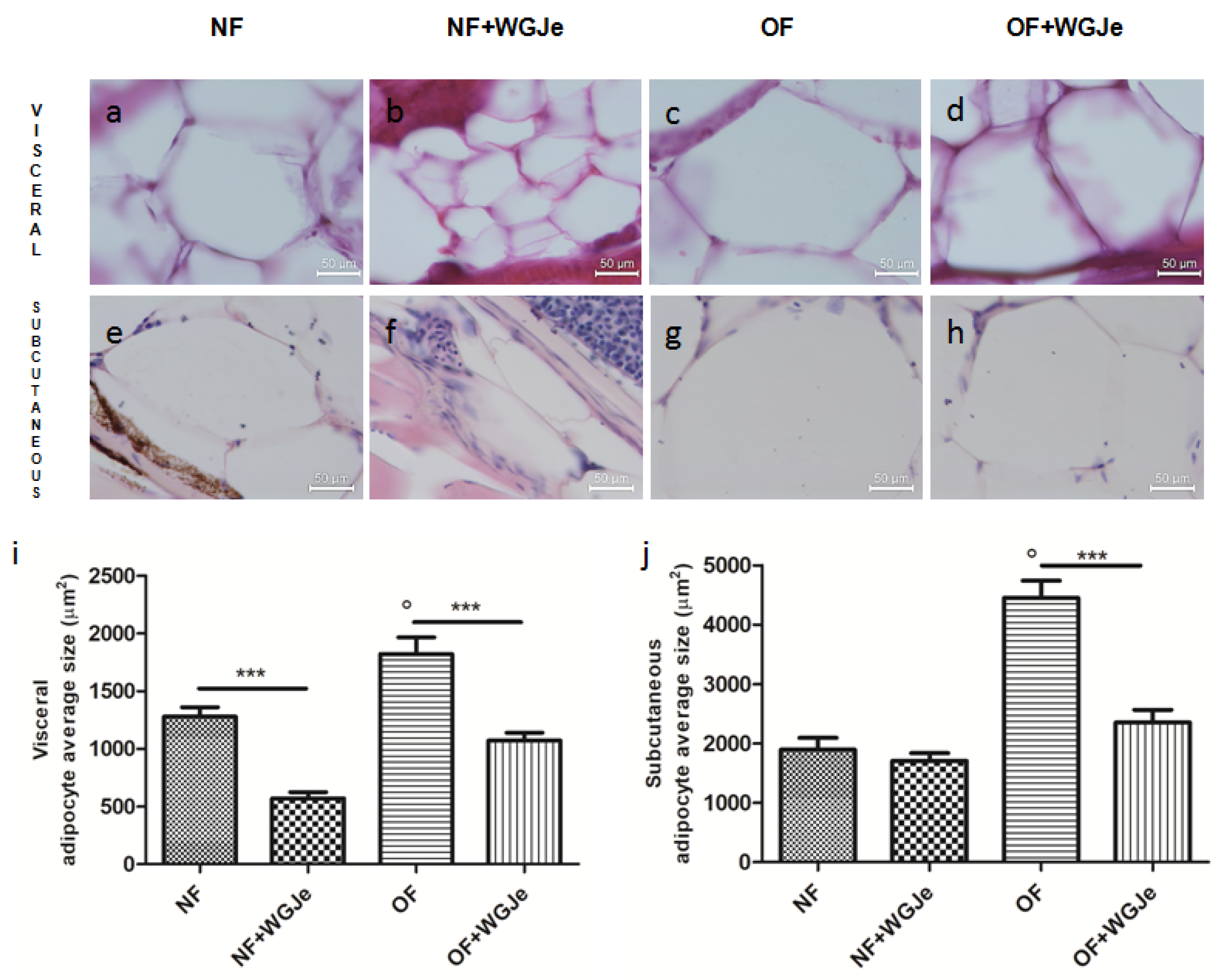 Molecules 26 01119 g004 Molecules 26 01119 g004