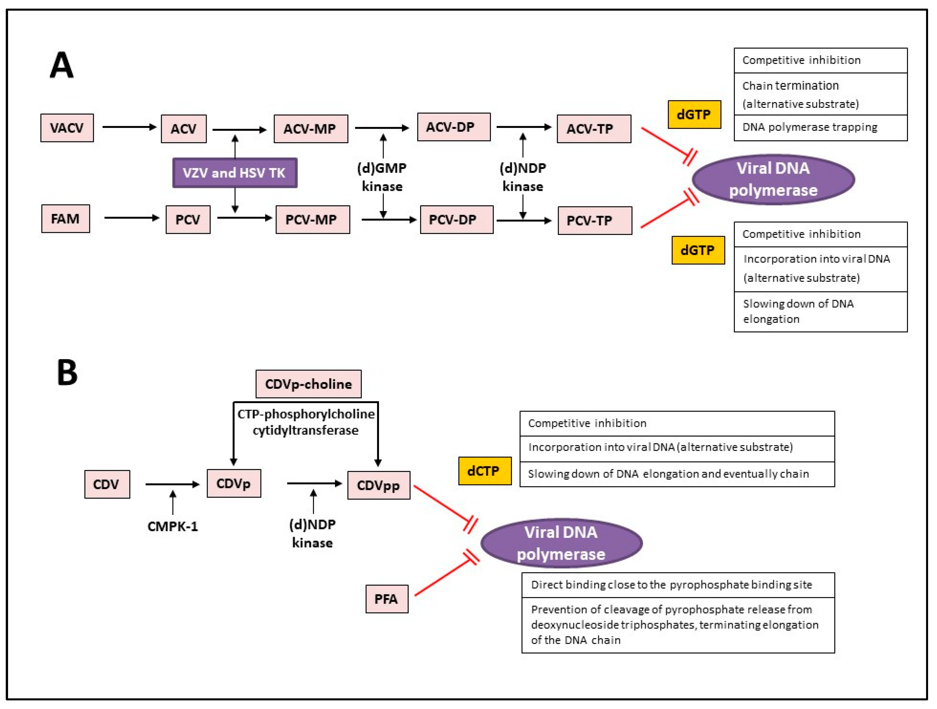Molecules 26 01132 g001