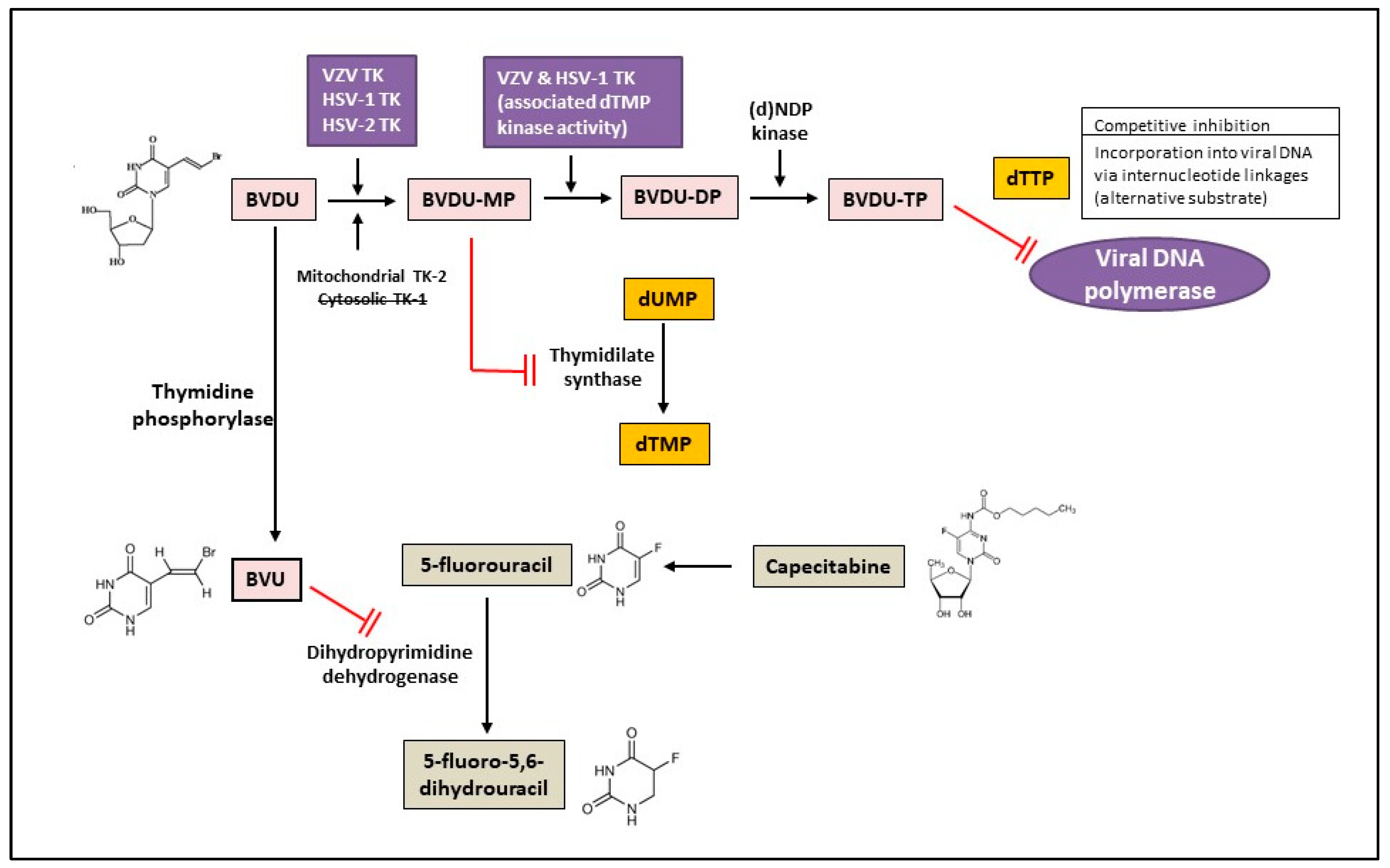 Molecules 26 01132 g002