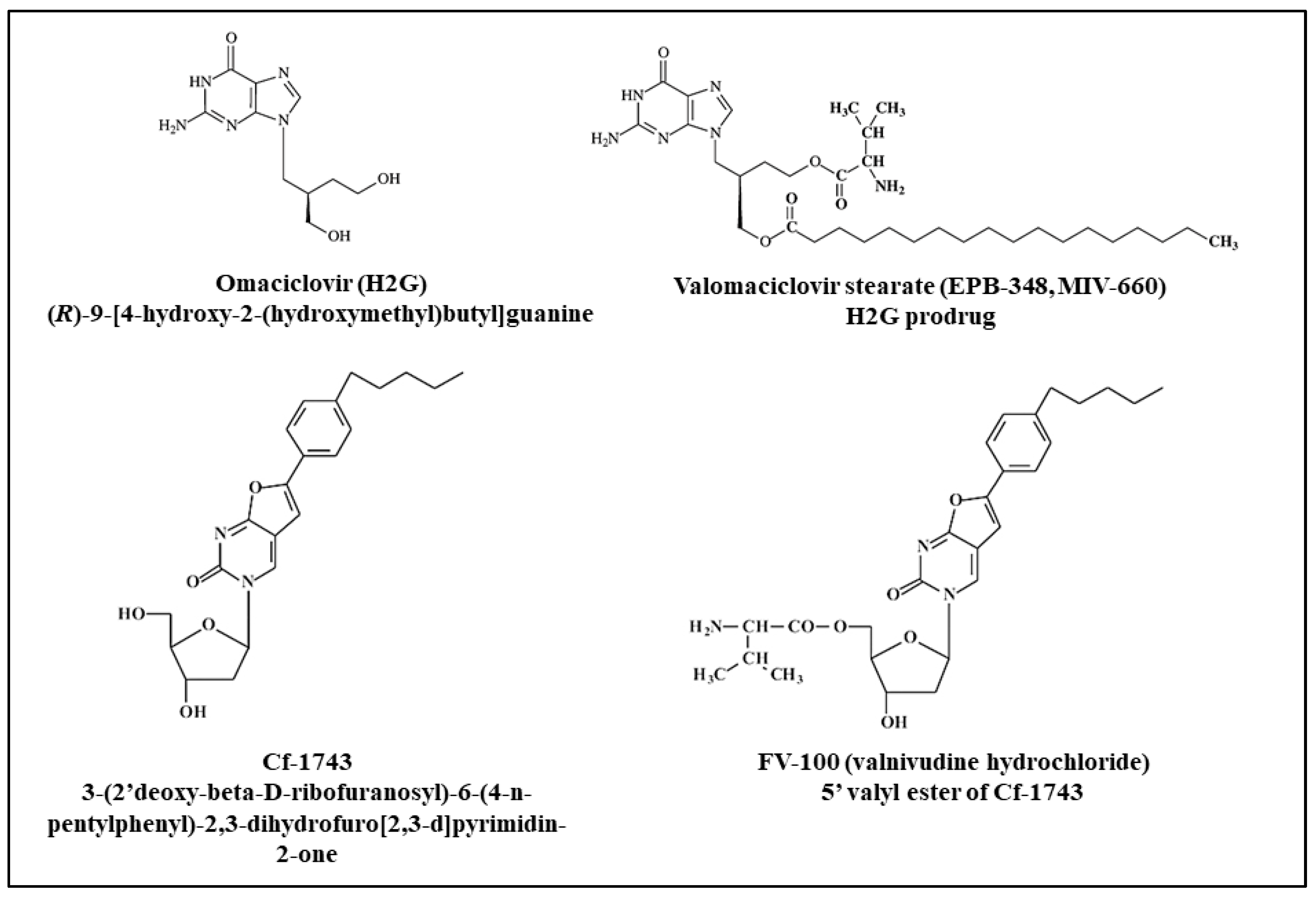 Molecules 26 01132 g003
