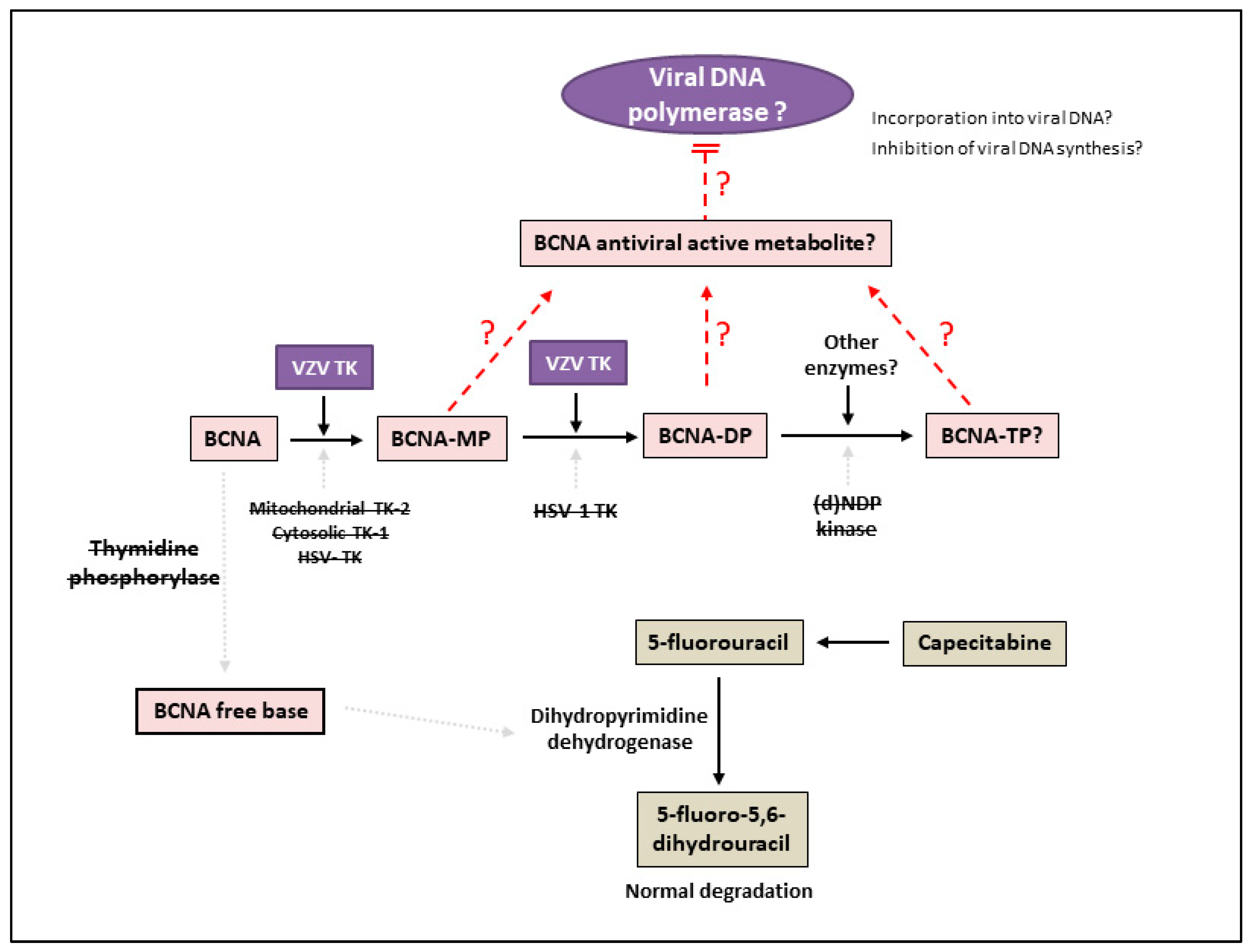 Molecules 26 01132 g004