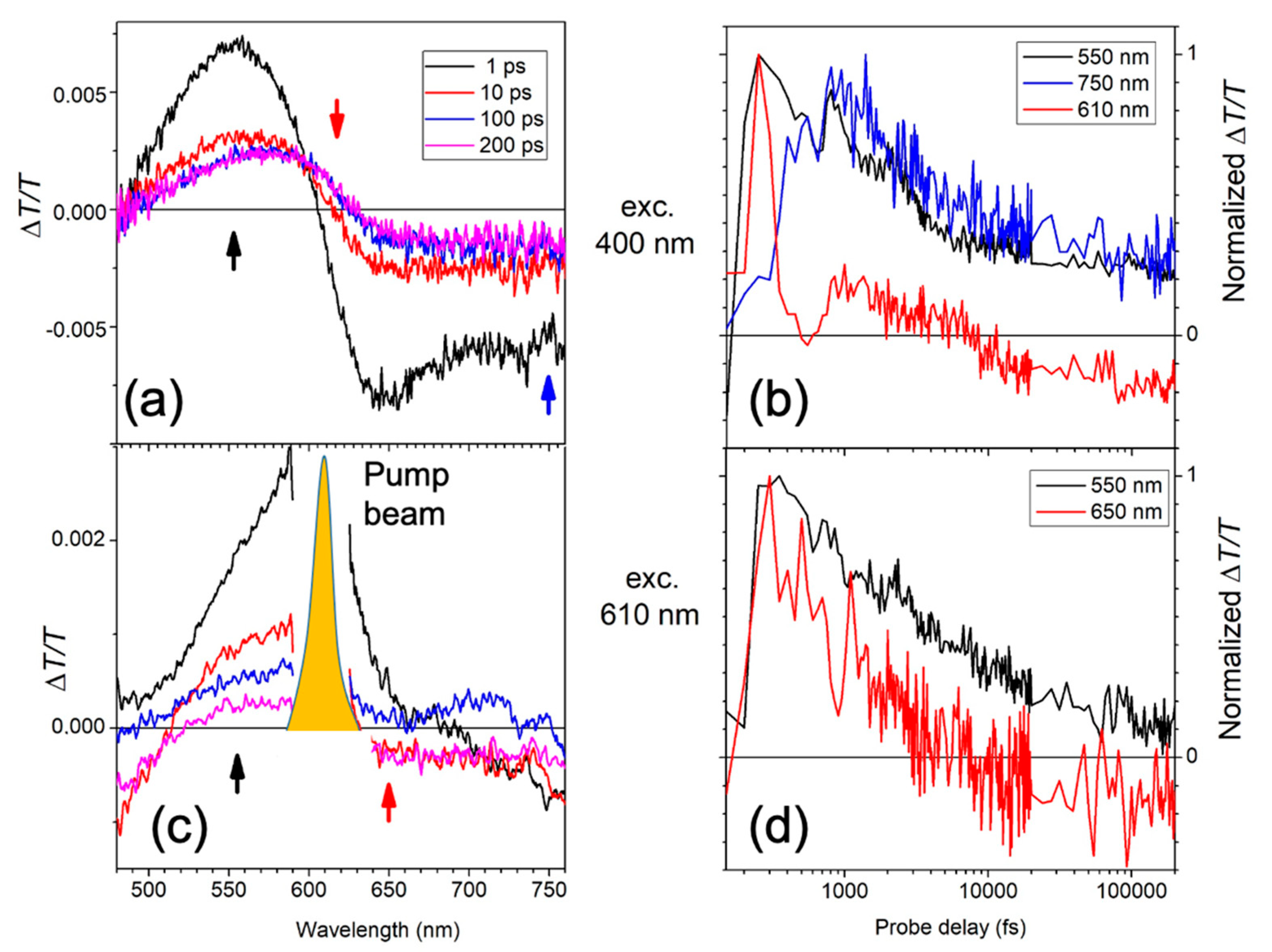Molecules 26 01138 g002 Molecules 26 01138 g002