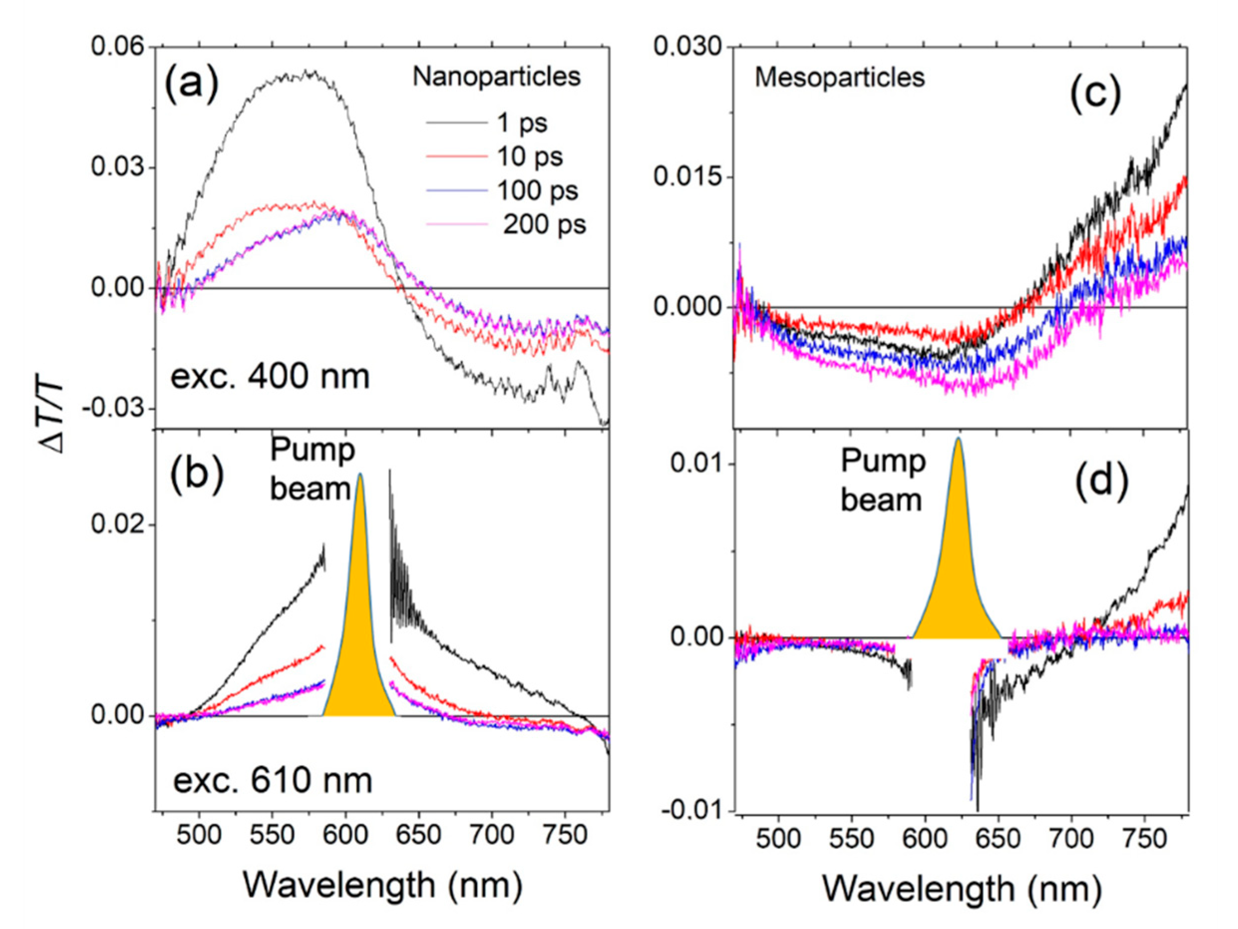 Molecules 26 01138 g003 Molecules 26 01138 g003
