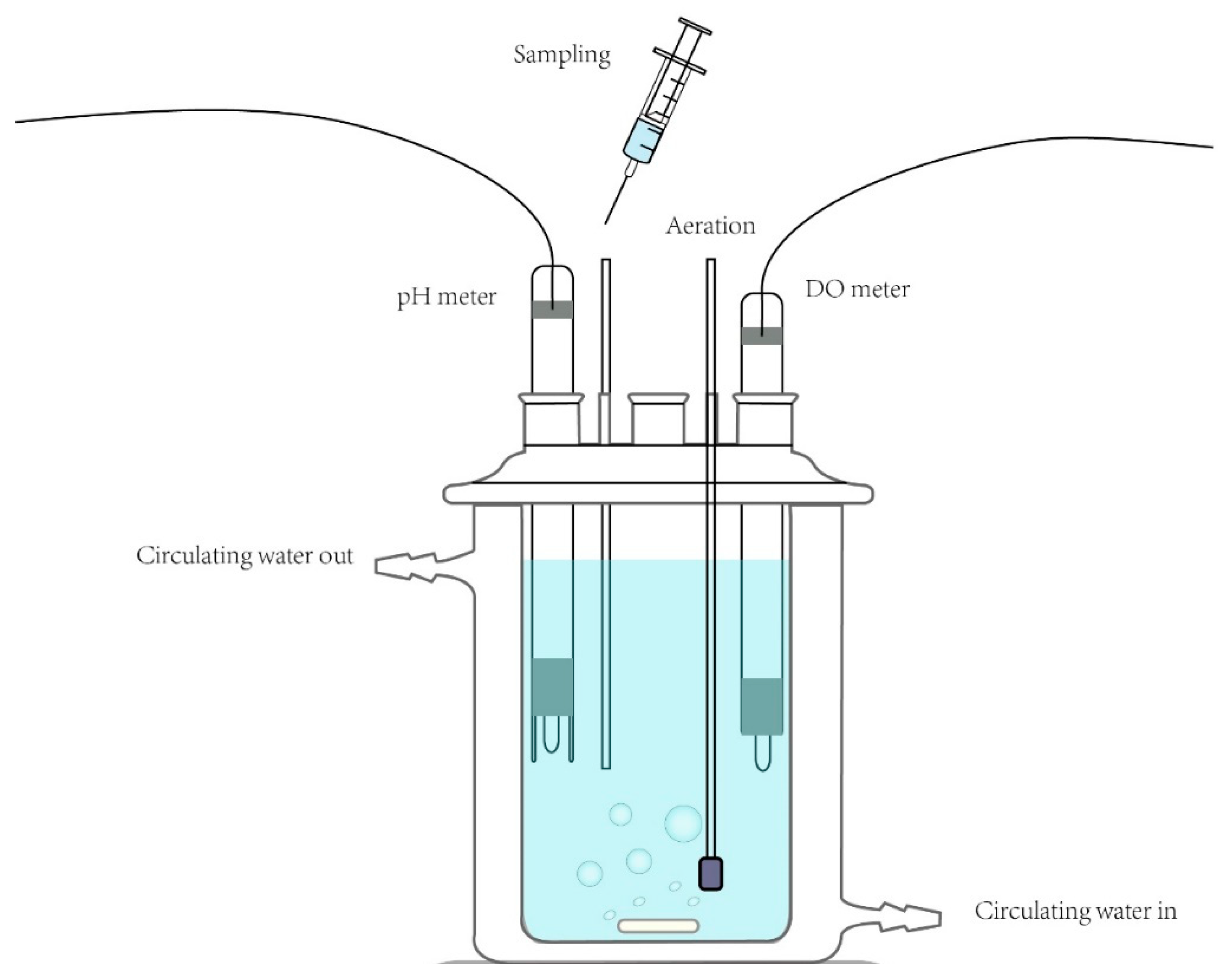 Molecules 26 01154 g006
