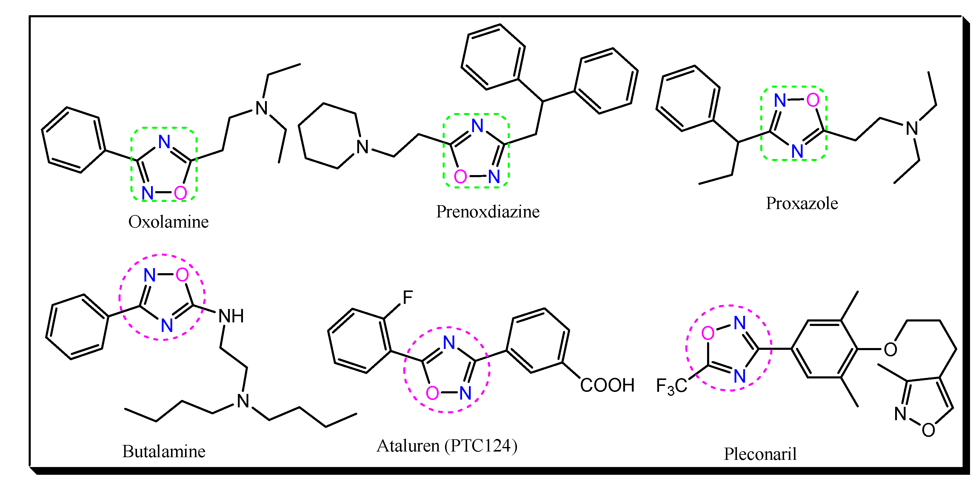 Molecules 26 01163 g003