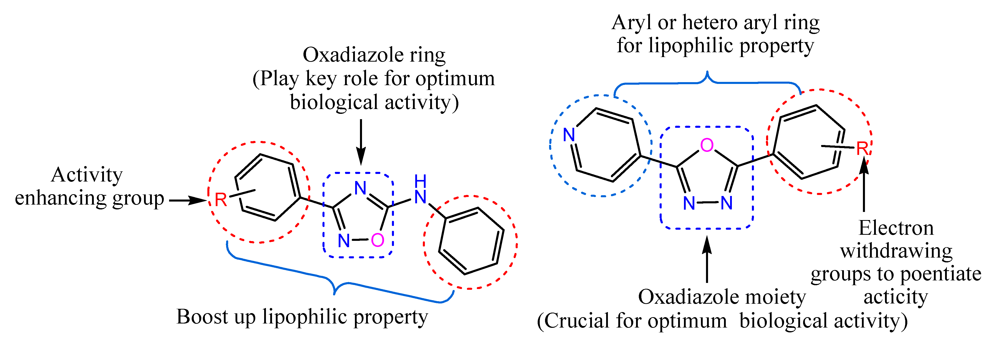 Molecules 26 01163 g007