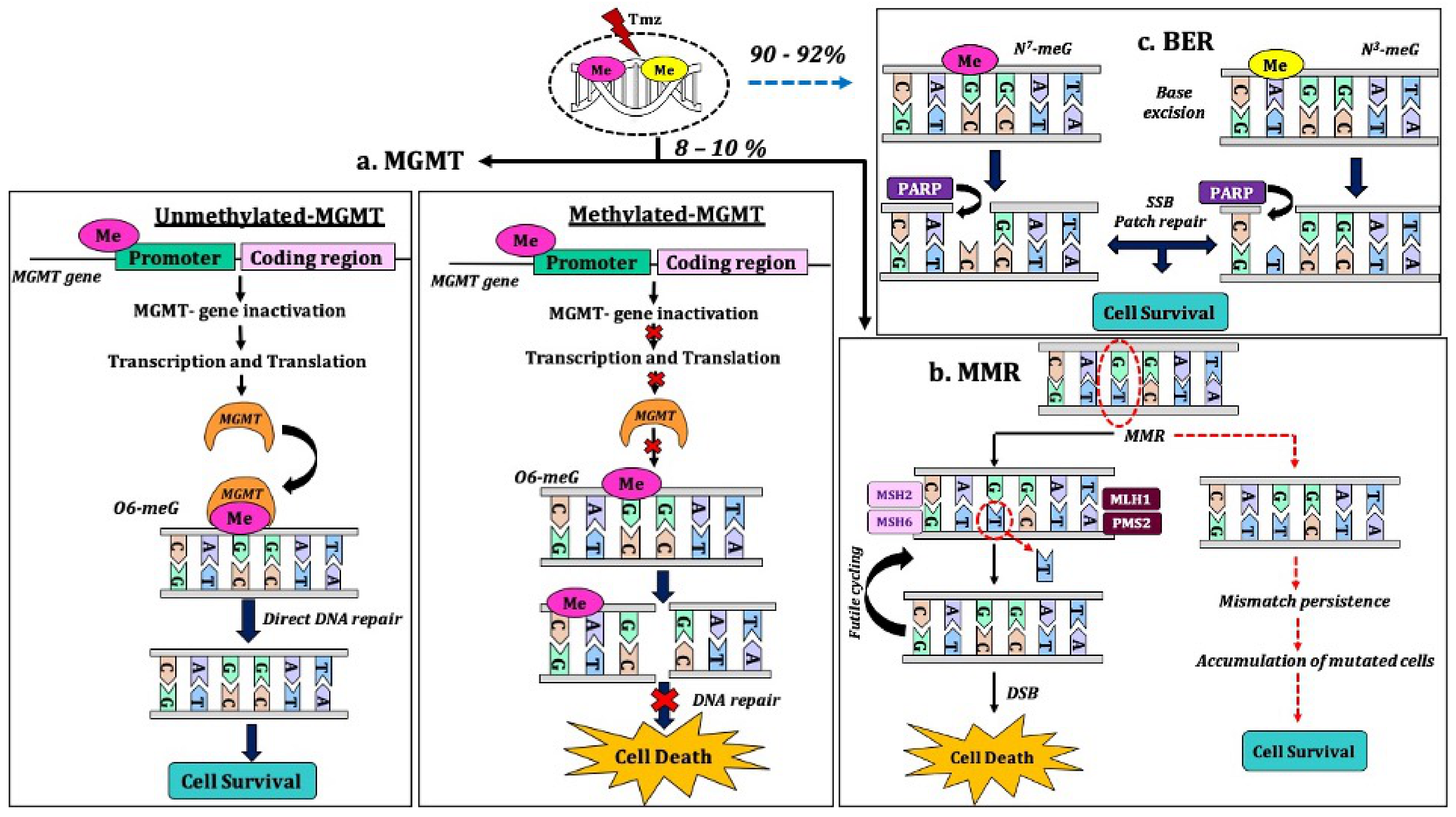 Molecules 26 01169 g002