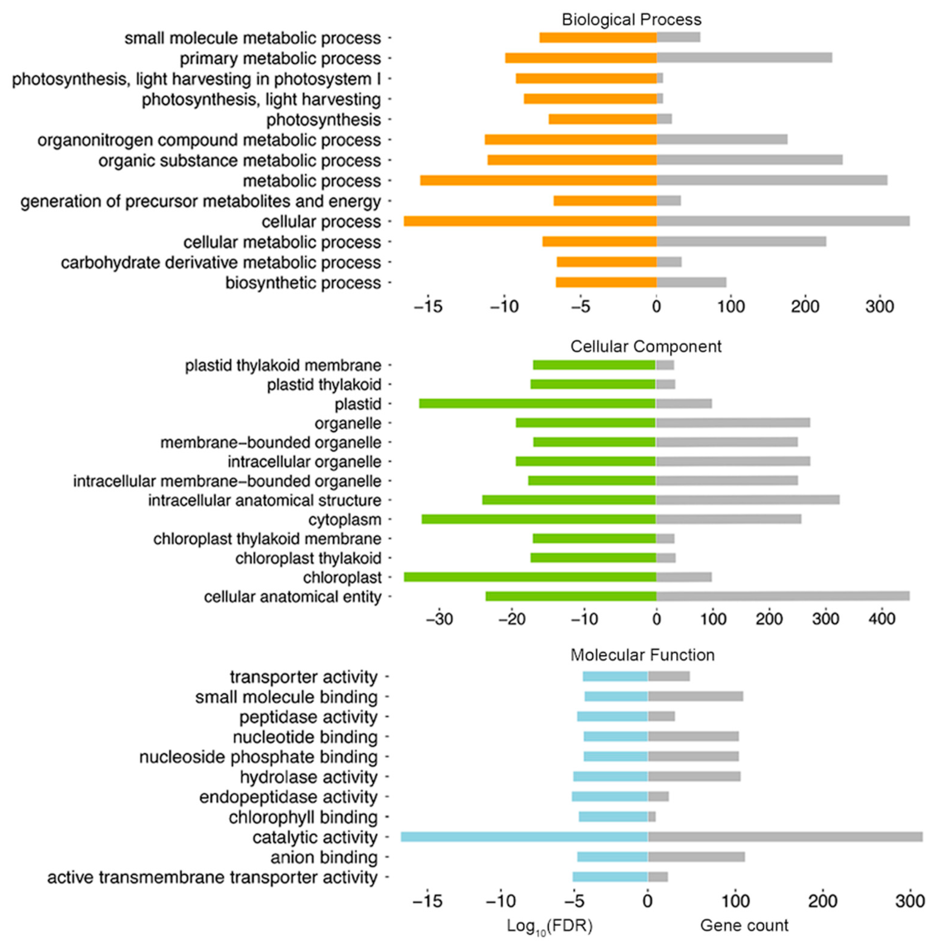 Molecules 26 01194 g004 Molecules 26 01194 g004