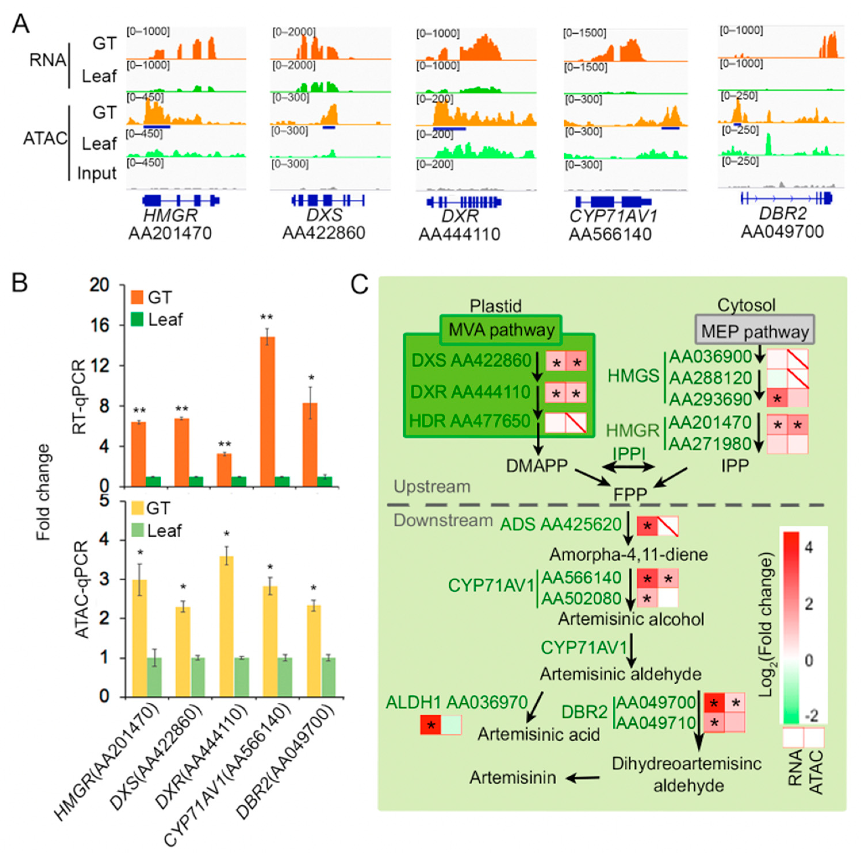 Molecules 26 01194 g005 Molecules 26 01194 g005