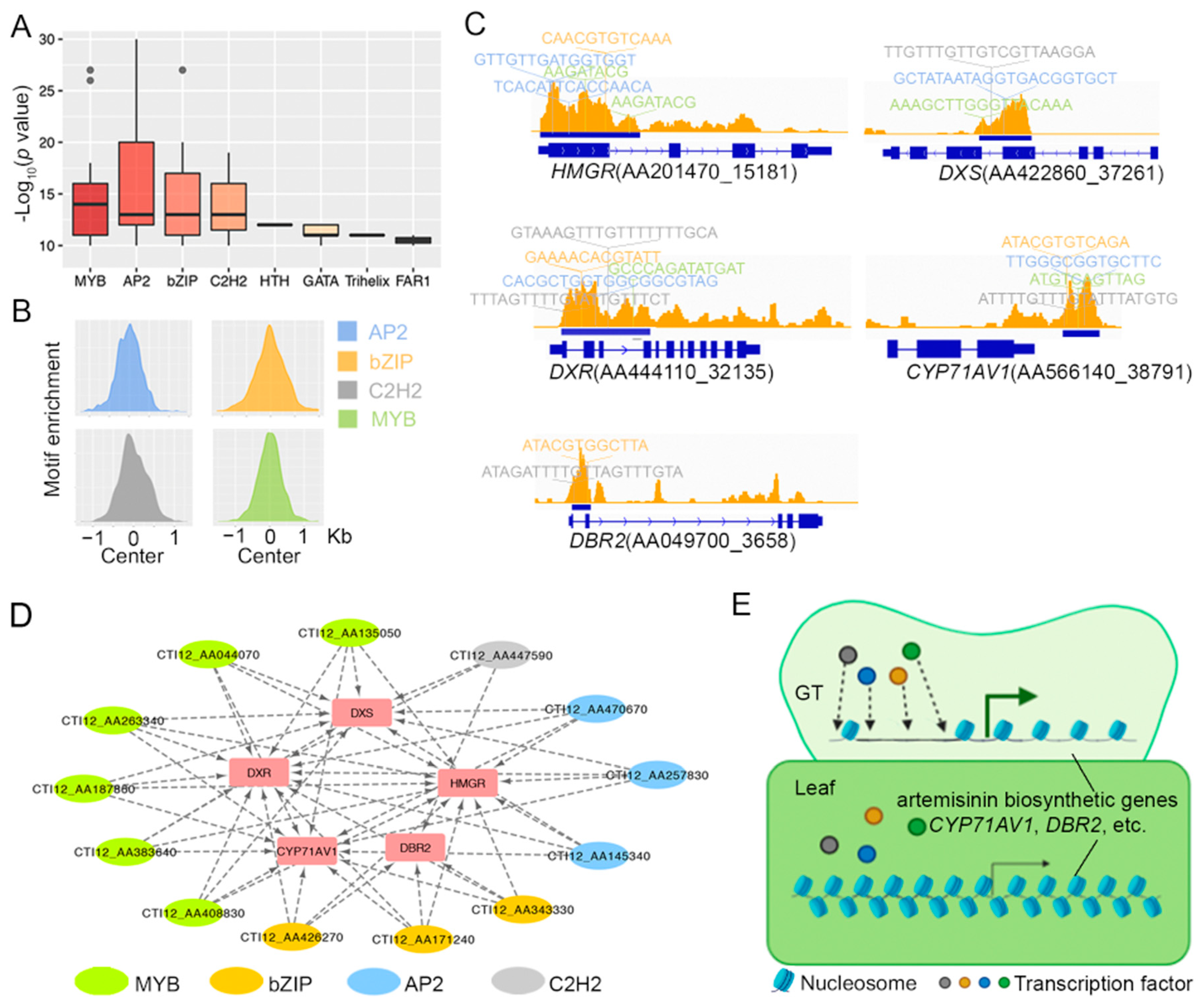 Molecules 26 01194 g006 Molecules 26 01194 g006