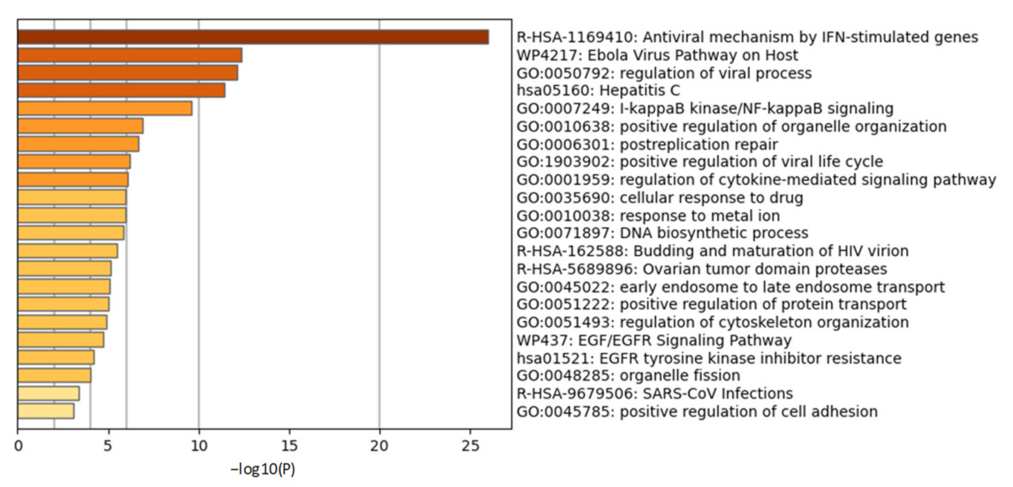 Molecules 26 01200 g003 Molecules 26 01200 g003
