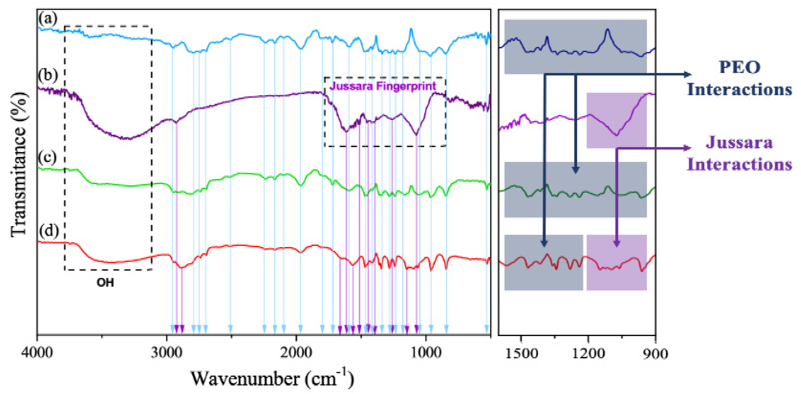 Molecules 26 01206 g004 Molecules 26 01206 g004