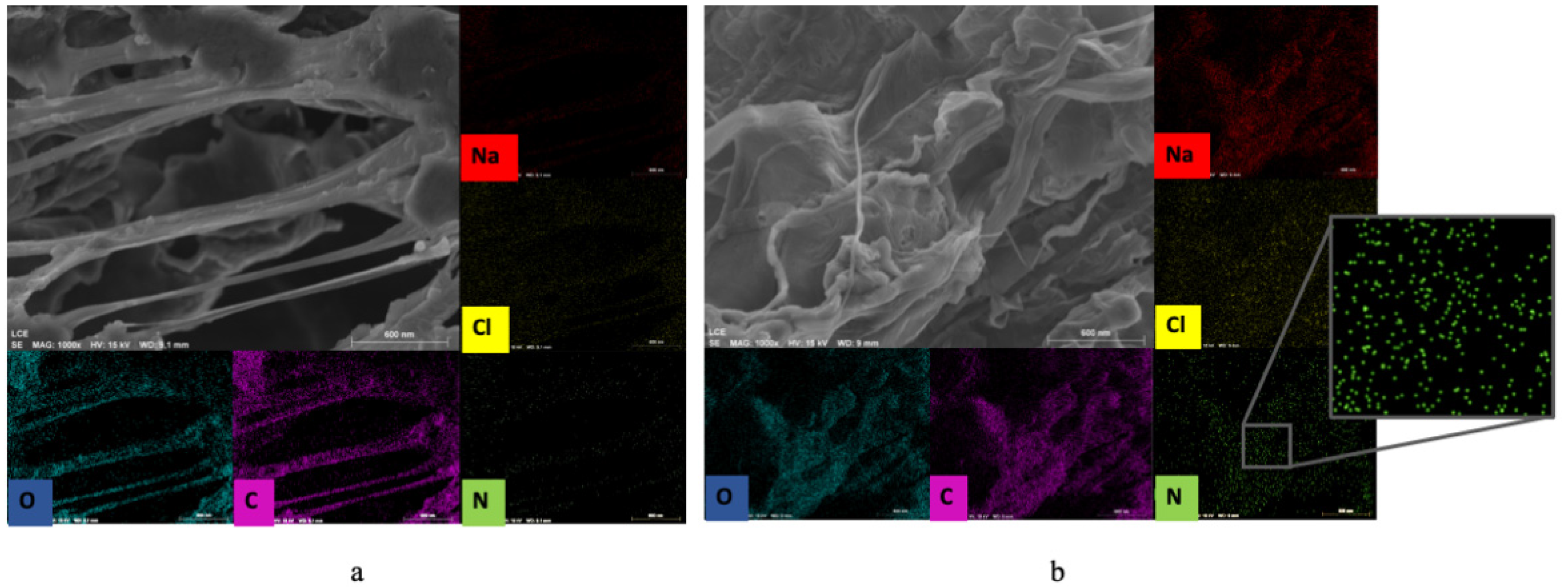 Molecules 26 01206 g005 Molecules 26 01206 g005