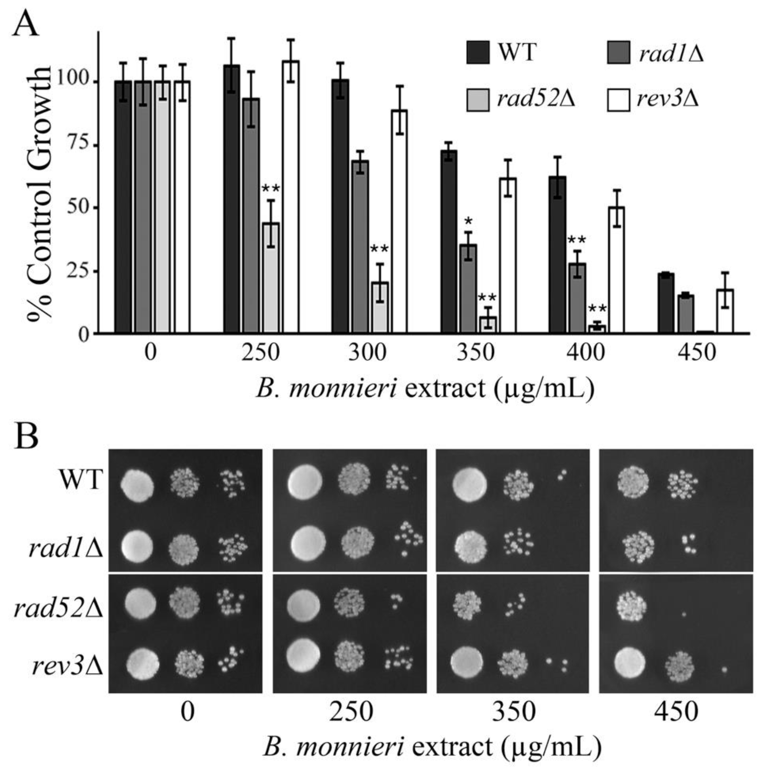 Molecules 26 01207 g009 Molecules 26 01207 g009