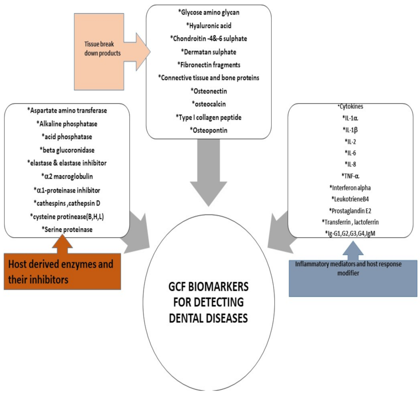 Molecules 26 01208 g003 Molecules 26 01208 g003