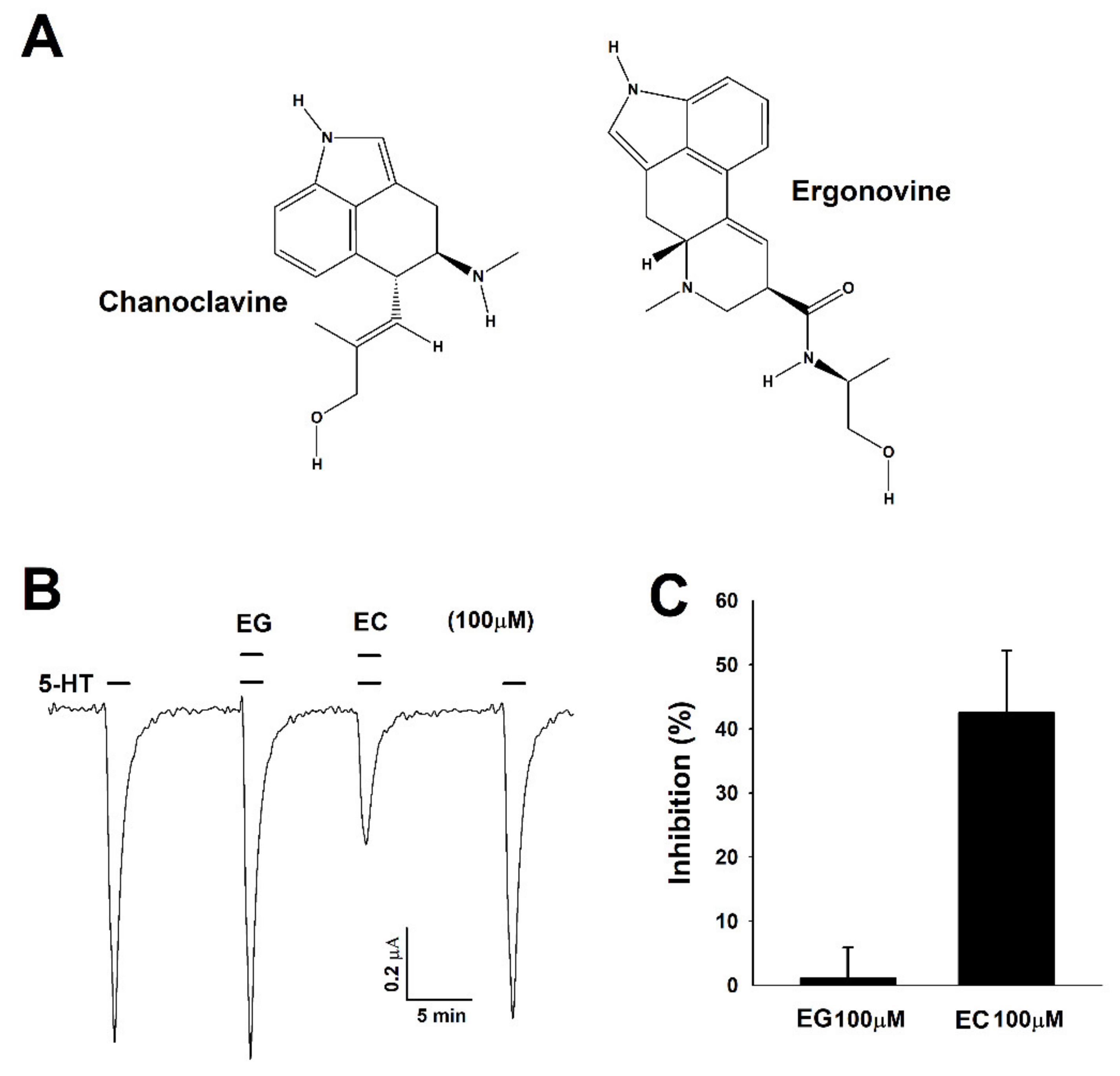 Molecules 26 01211 g001
