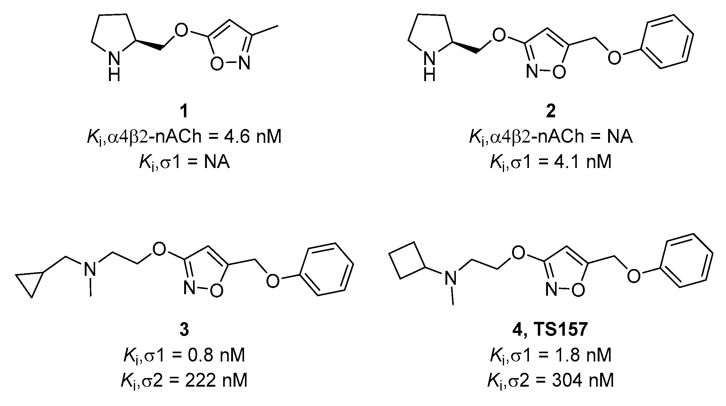 Molecules 26 01212 g001