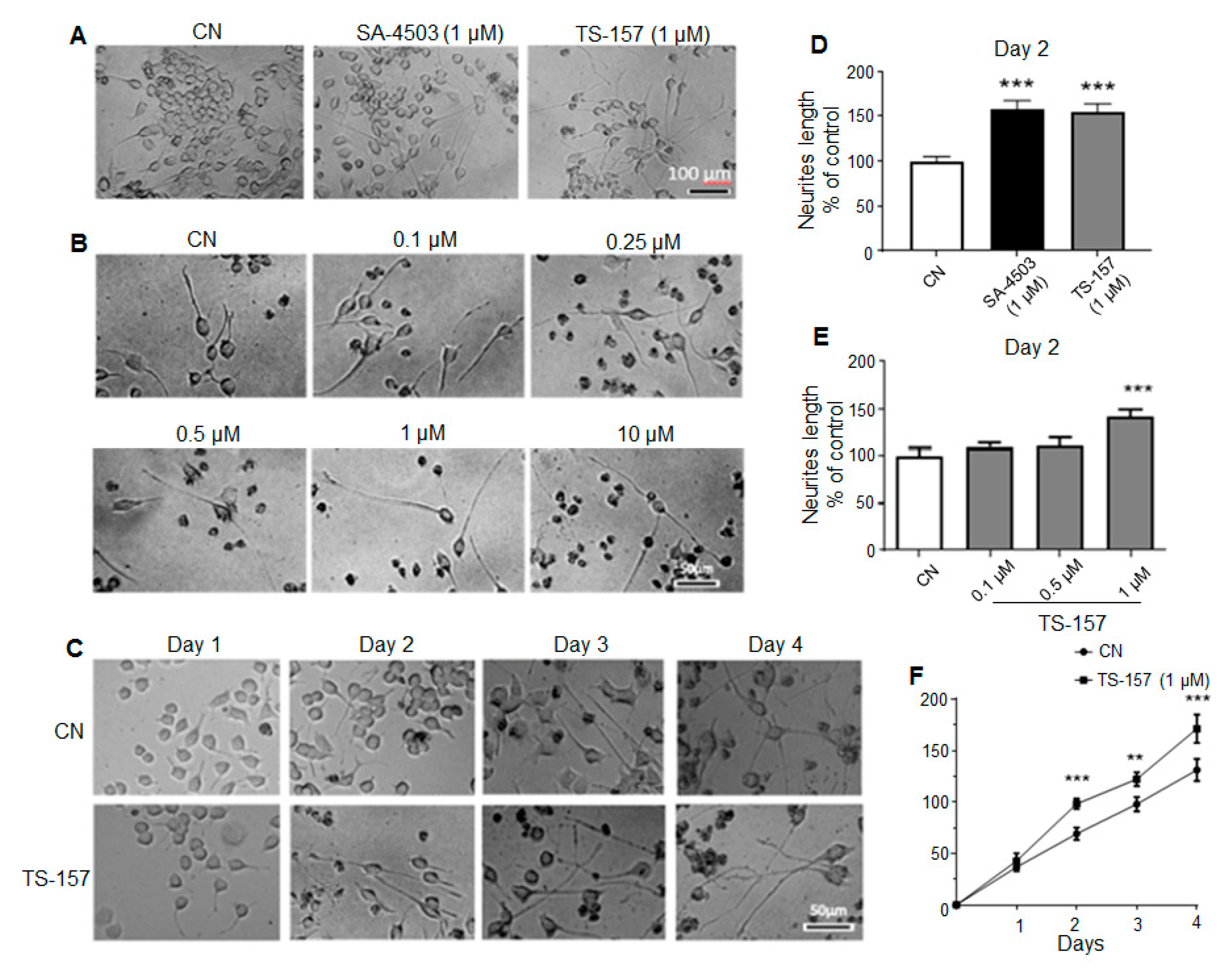Molecules 26 01212 g003