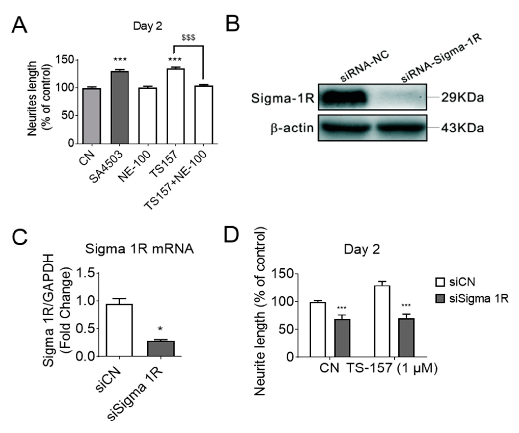 Molecules 26 01212 g004