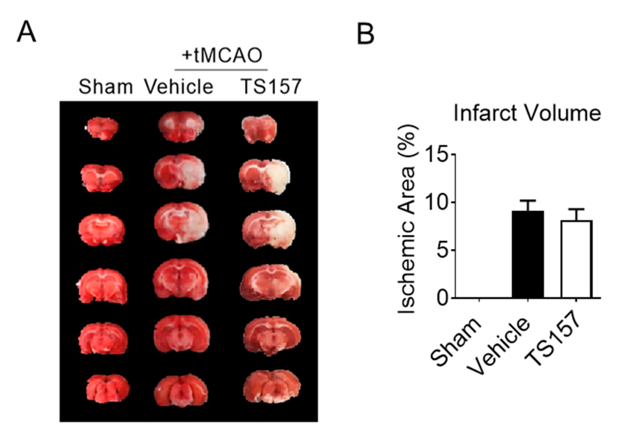 Molecules 26 01212 g006