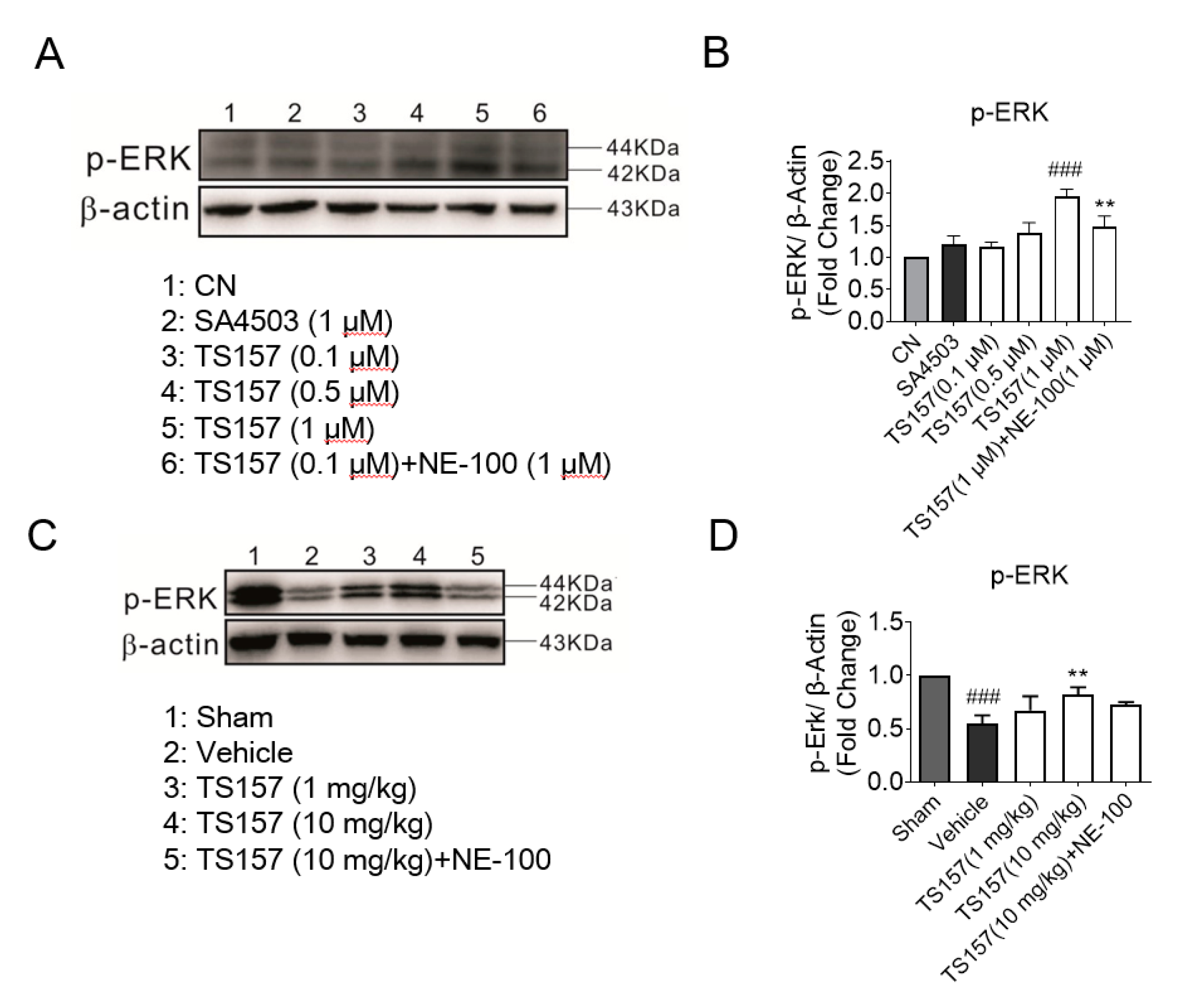 Molecules 26 01212 g008