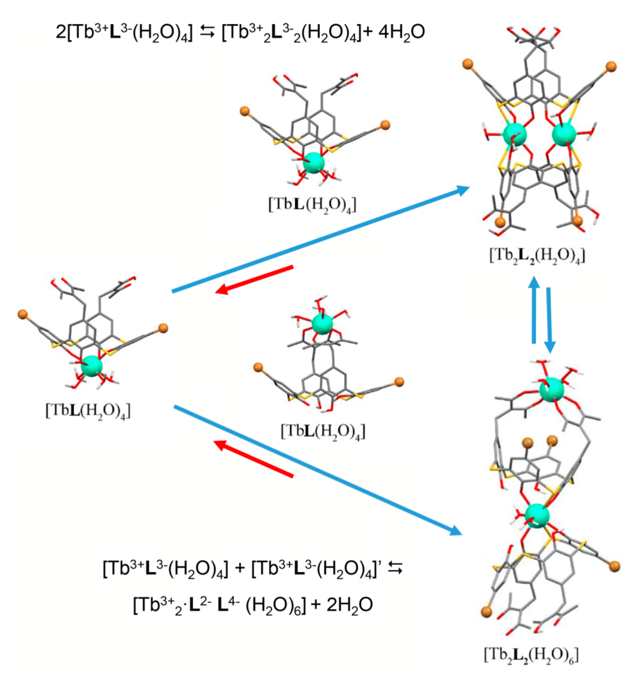 Molecules 26 01214 g004