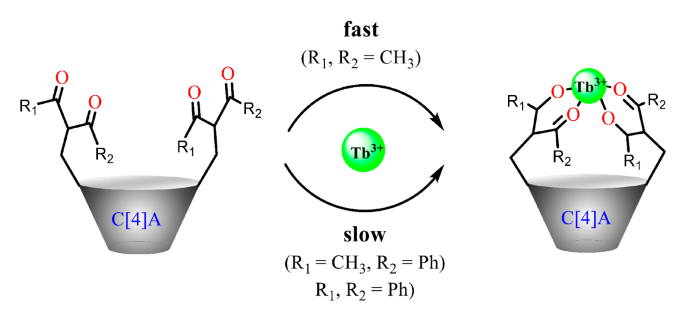 Molecules 26 01214 g005