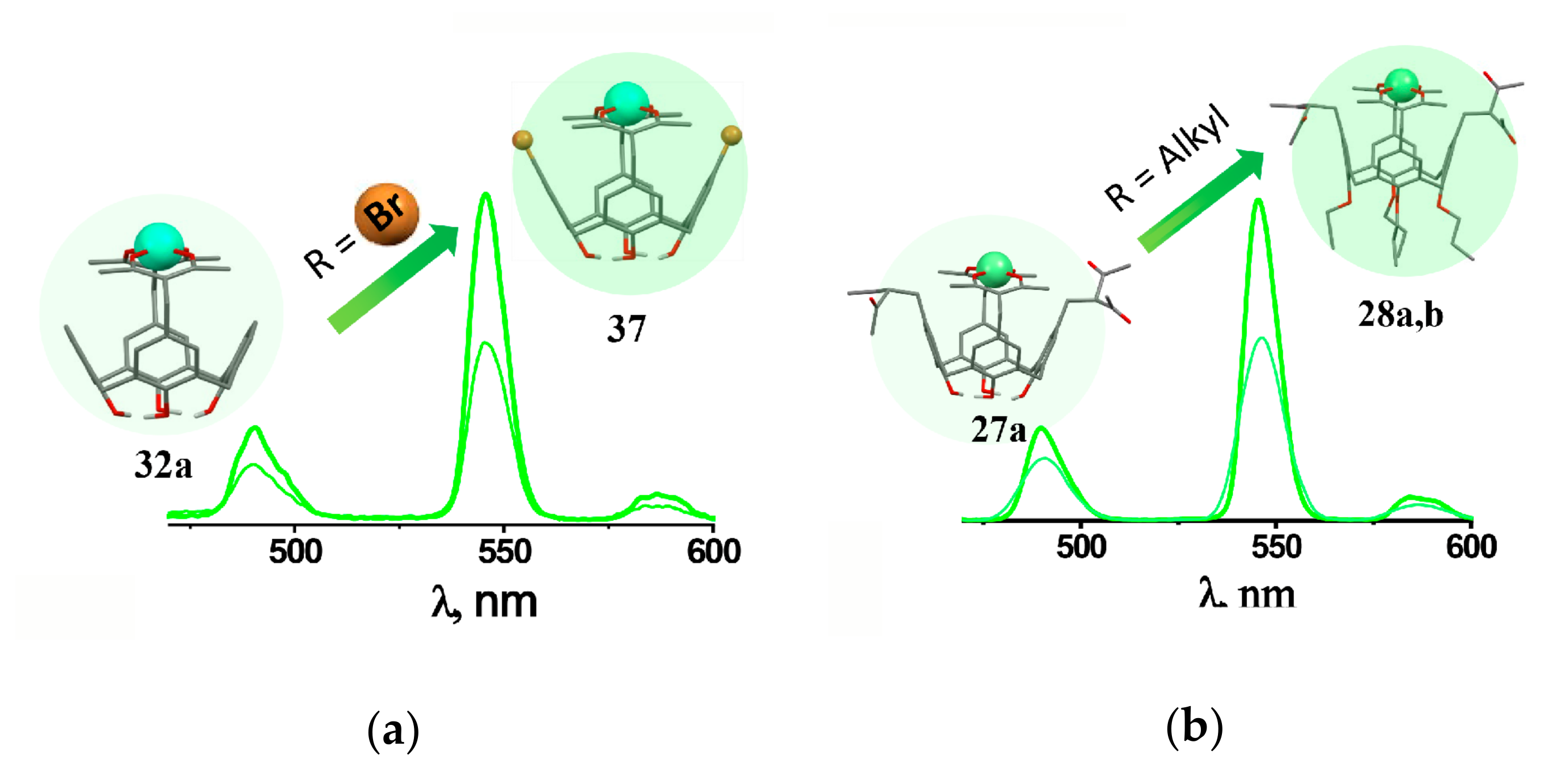 Molecules 26 01214 g007