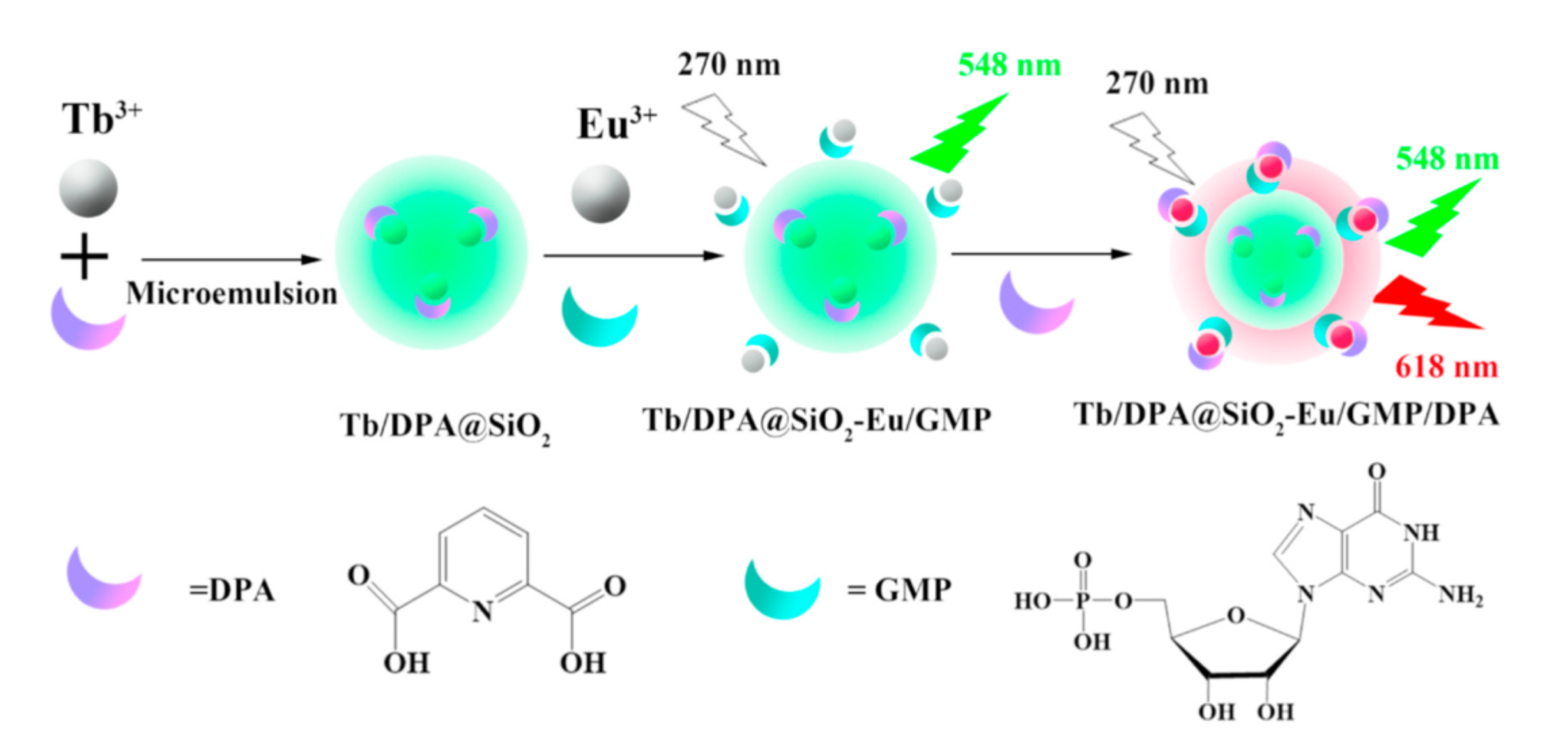 Molecules 26 01214 g009