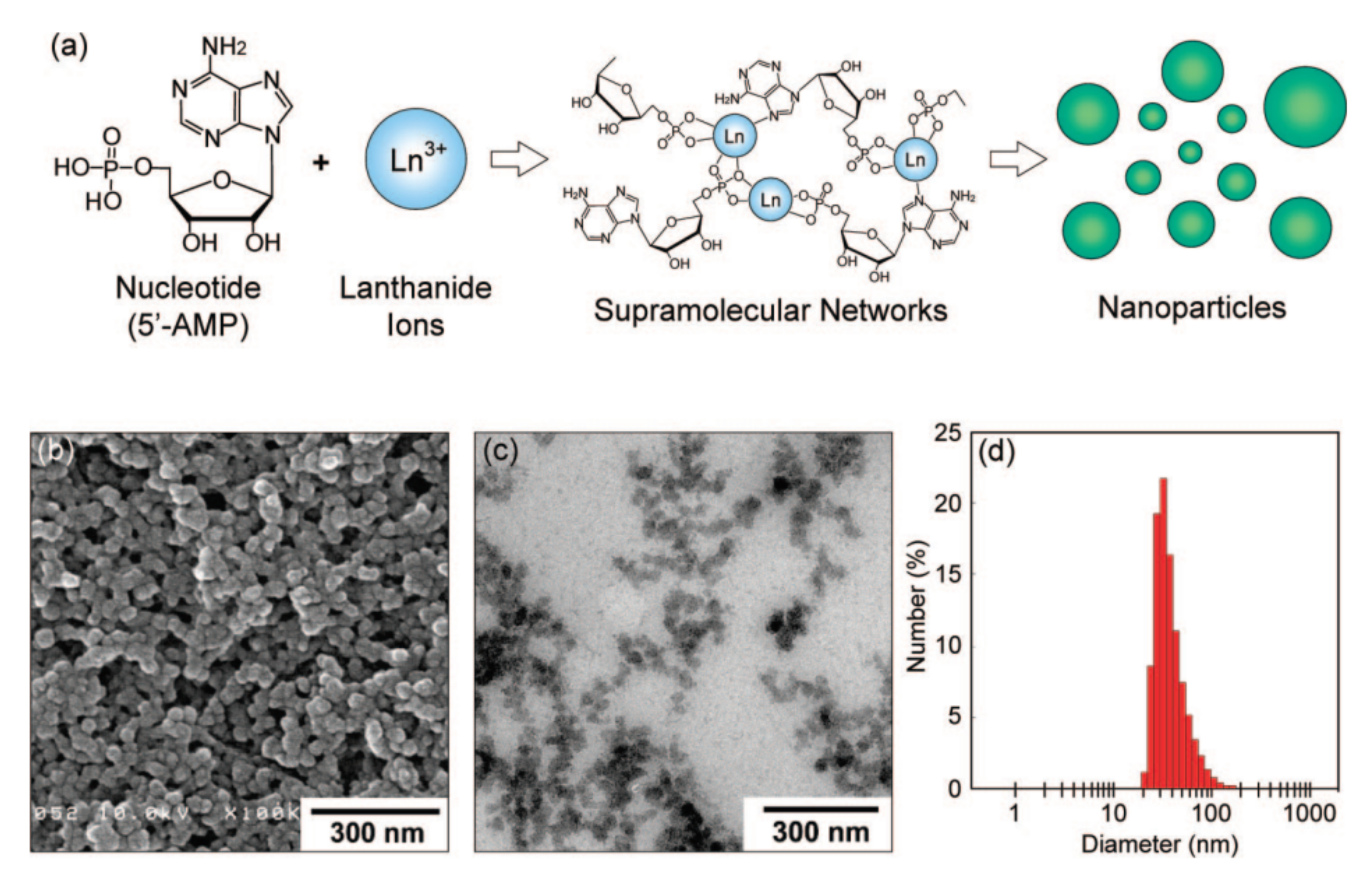 Molecules 26 01214 g010