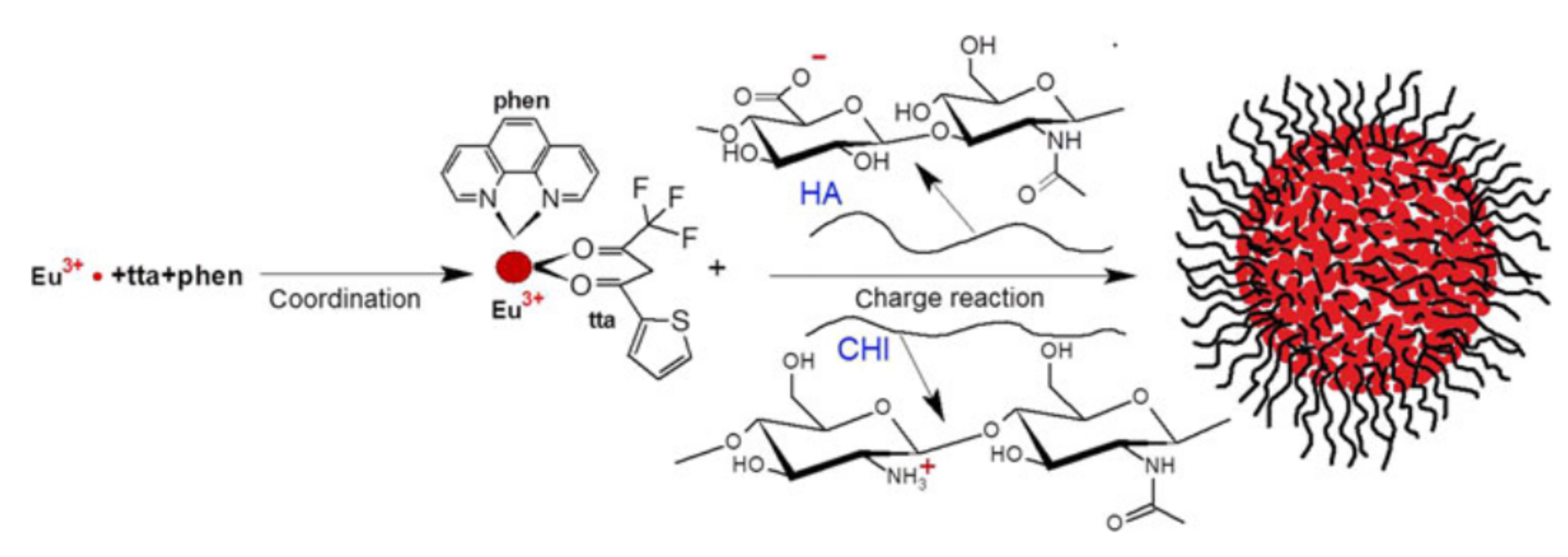 Molecules 26 01214 g011