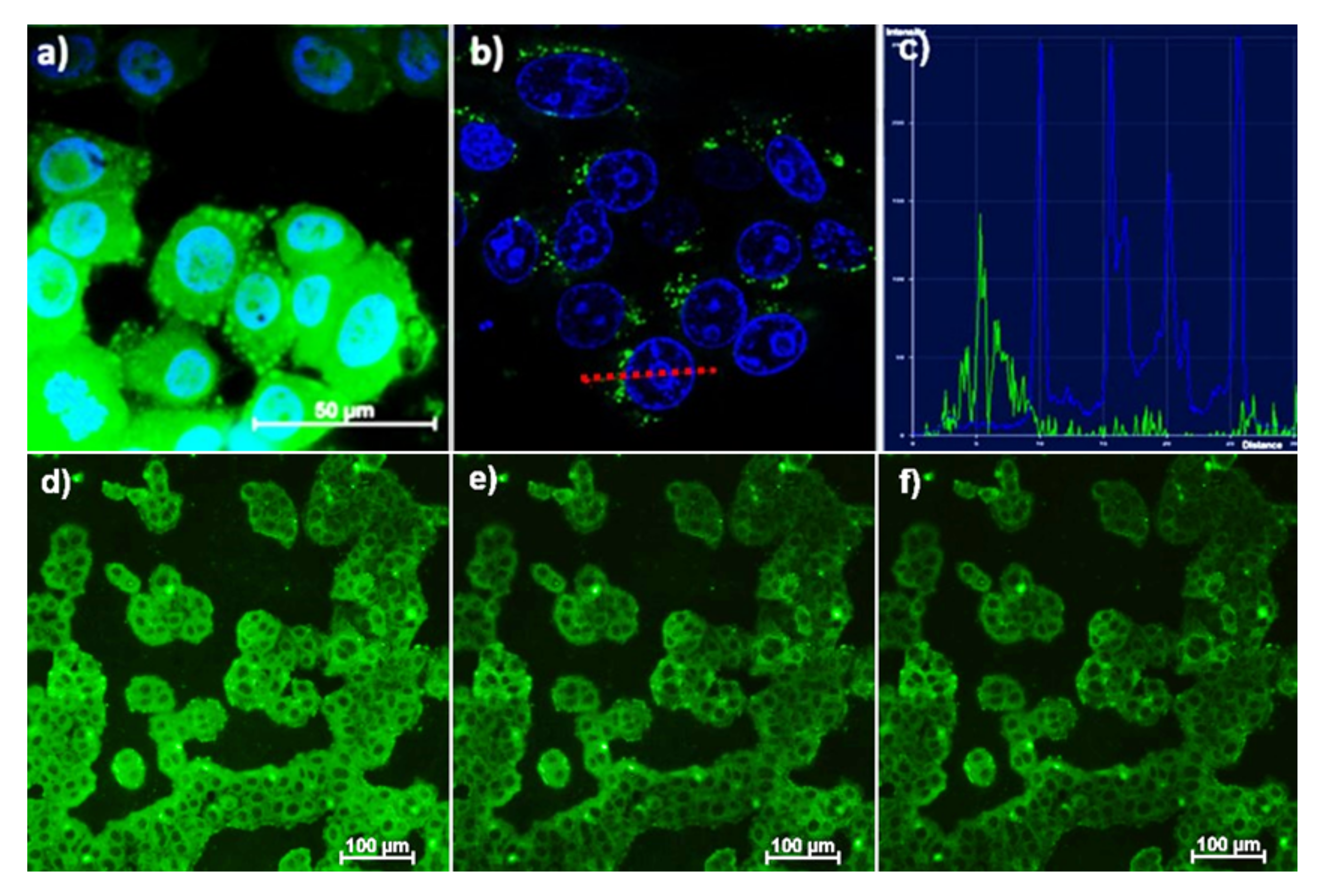 Molecules 26 01214 g015