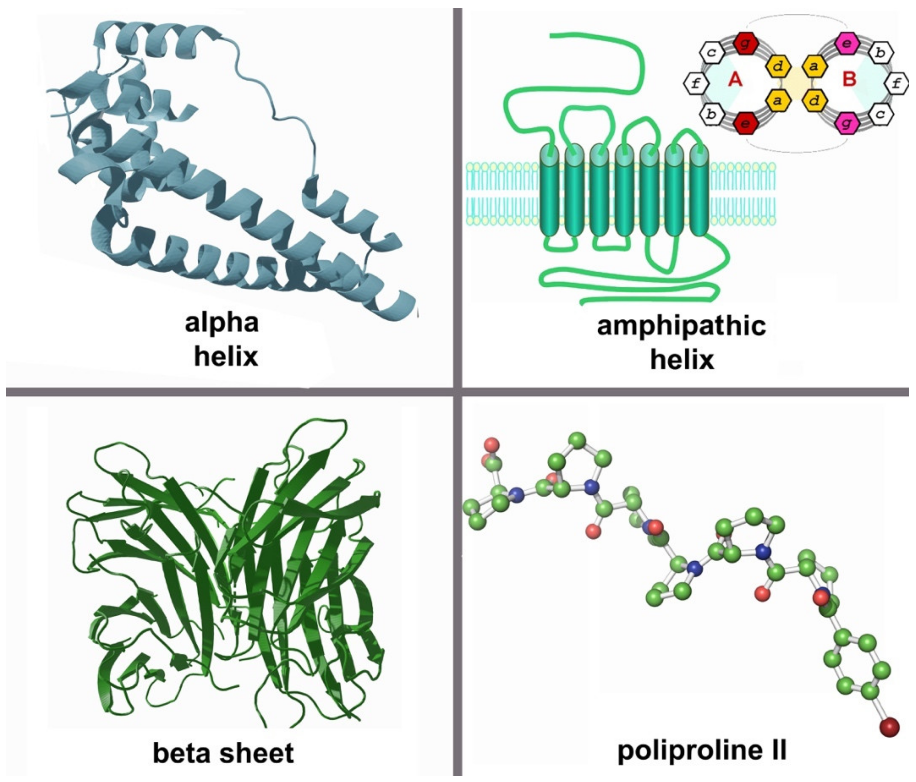 Molecules 26 01219 g001 Molecules 26 01219 g001