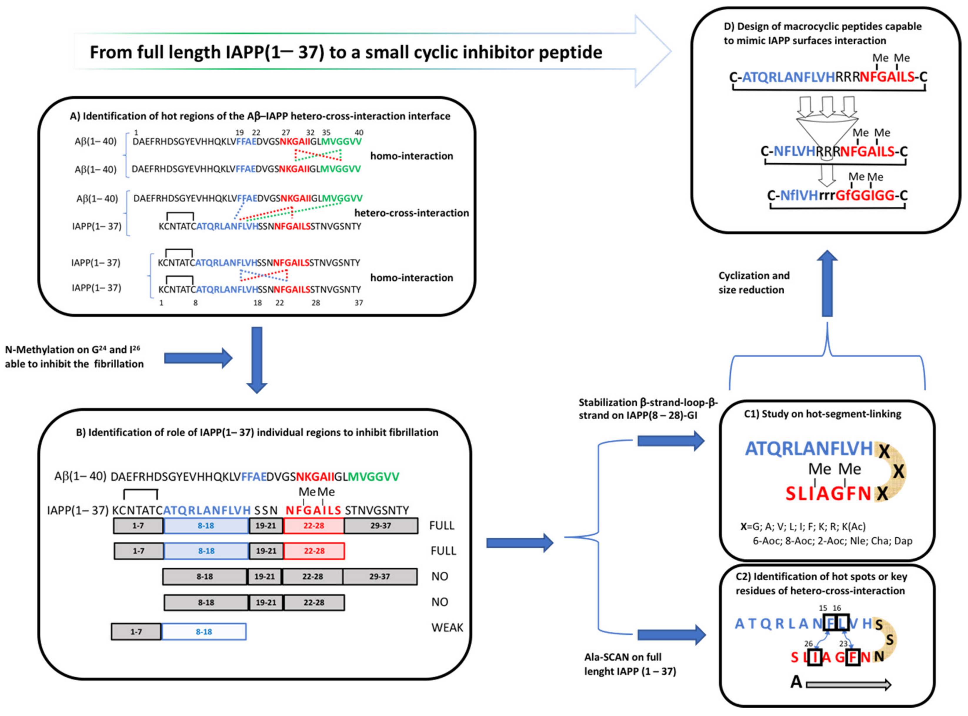 Molecules 26 01219 g002 Molecules 26 01219 g002