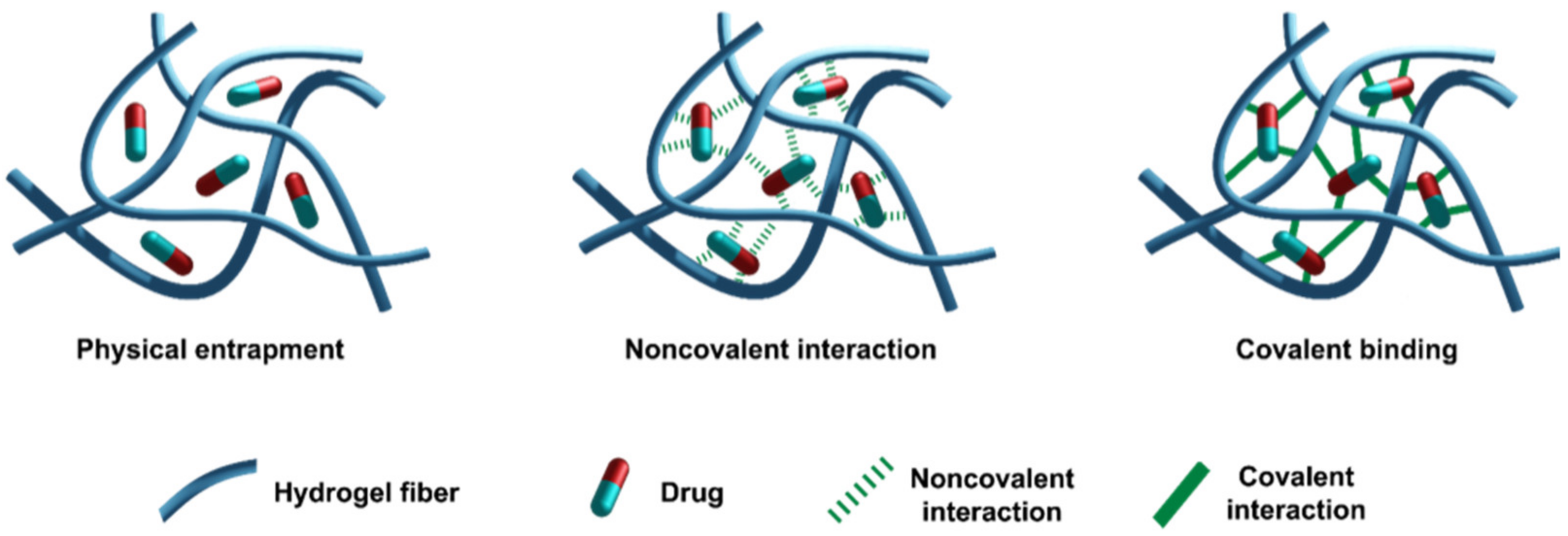 Molecules 26 01219 g004 Molecules 26 01219 g004