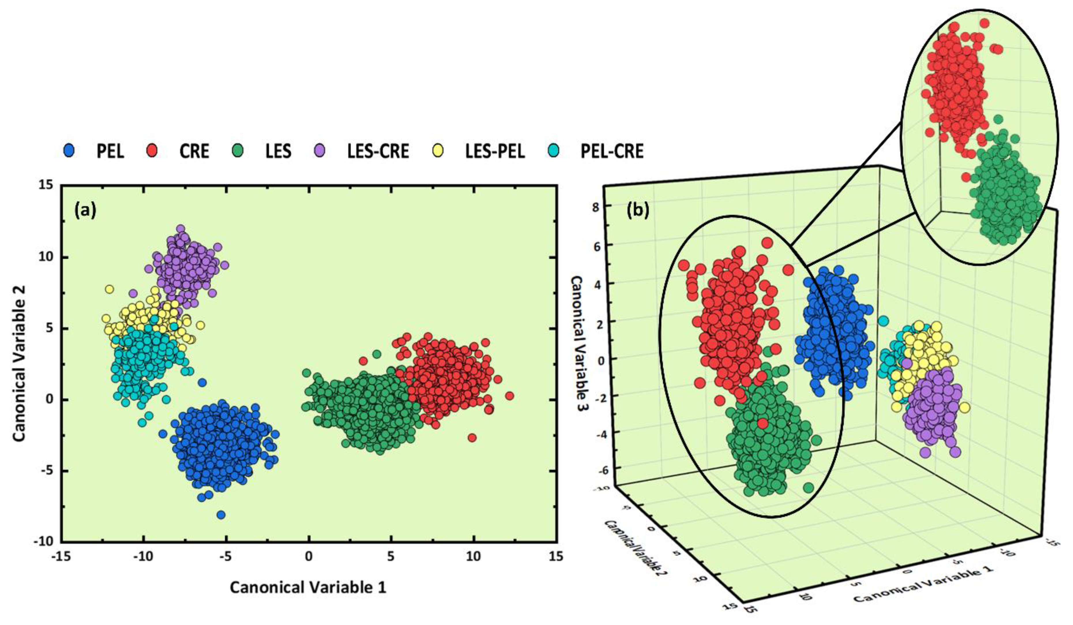Molecules 26 01241 g003 Molecules 26 01241 g003