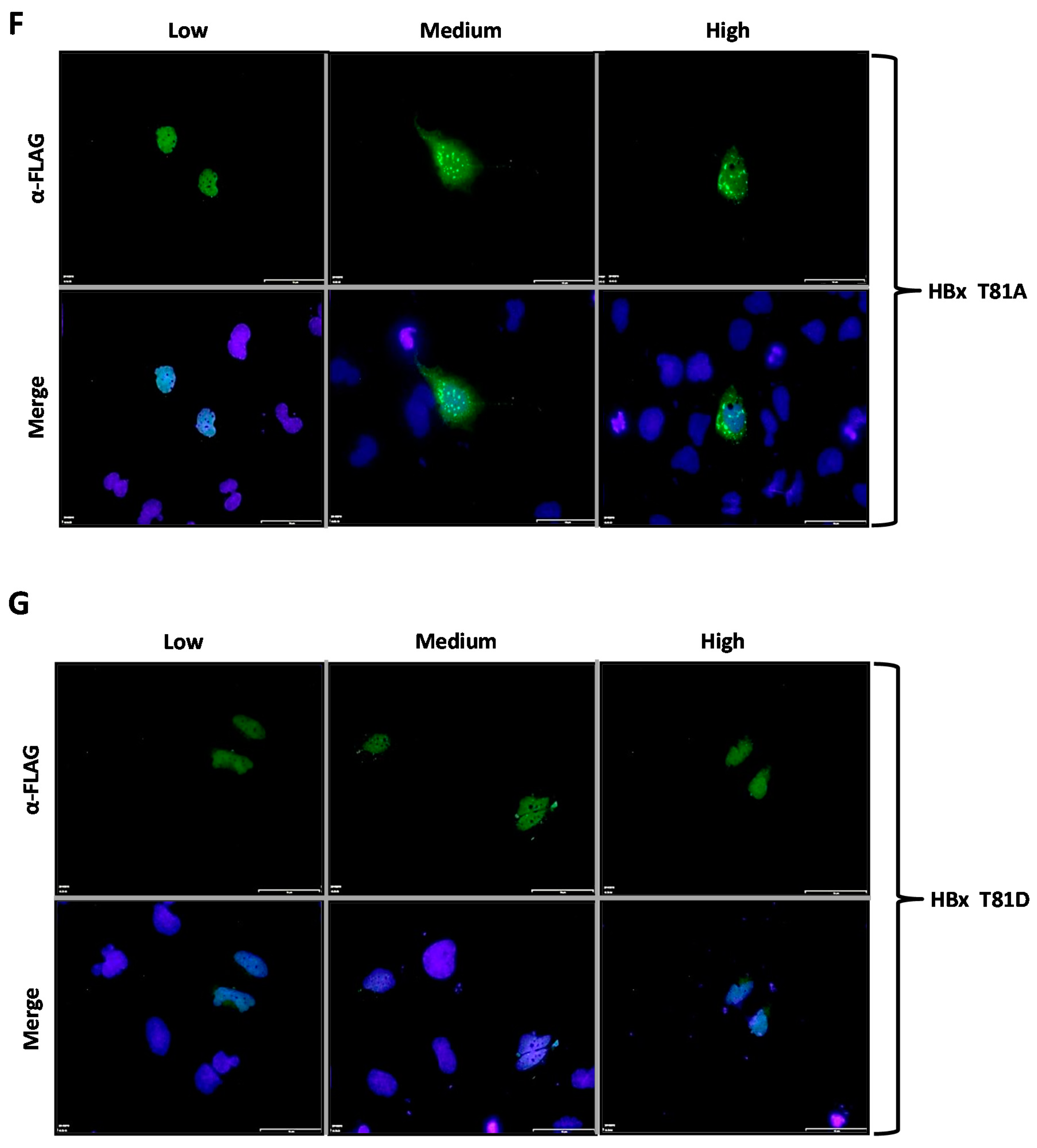 Molecules 26 01254 g002d Molecules 26 01254 g002d