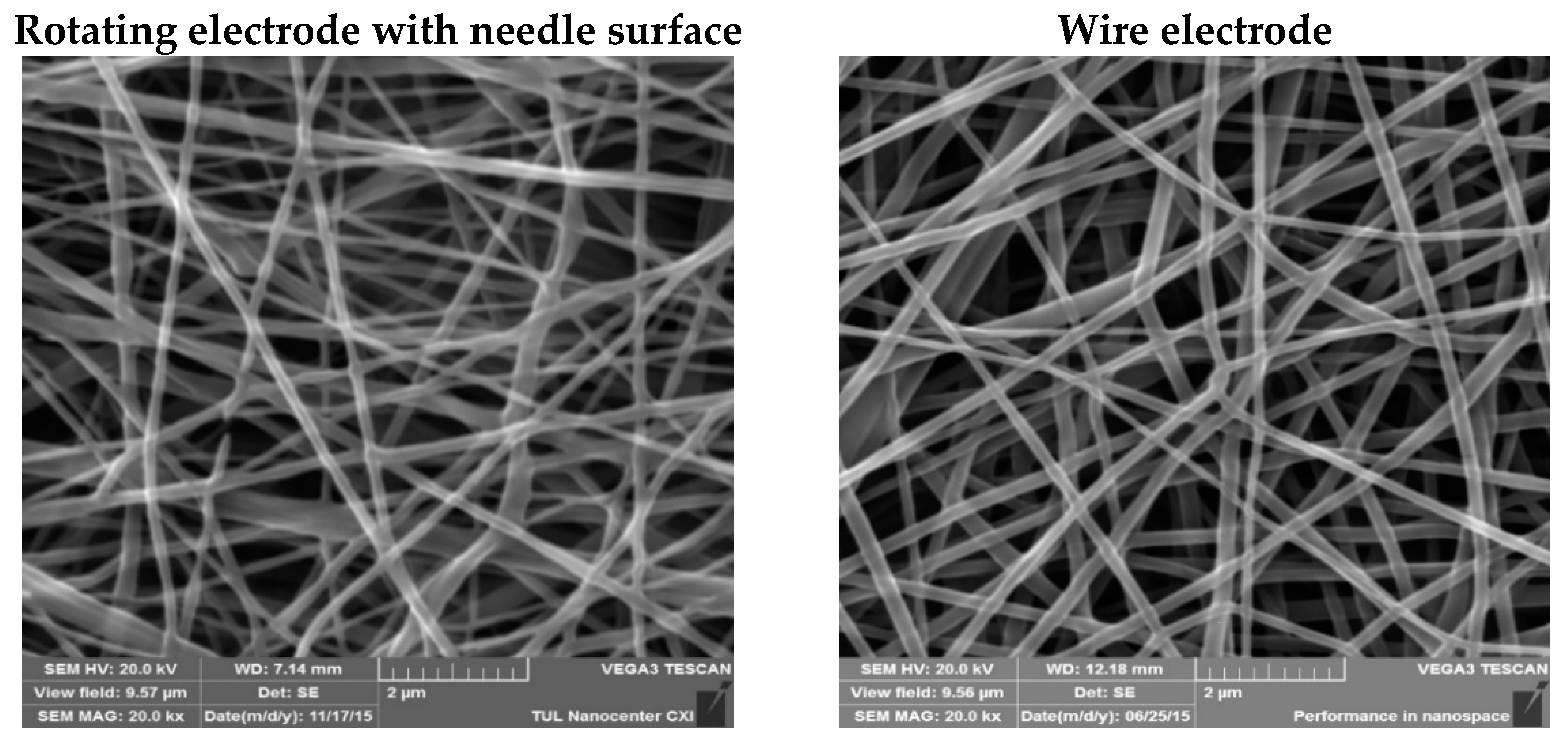 Molecules 26 01255 g002