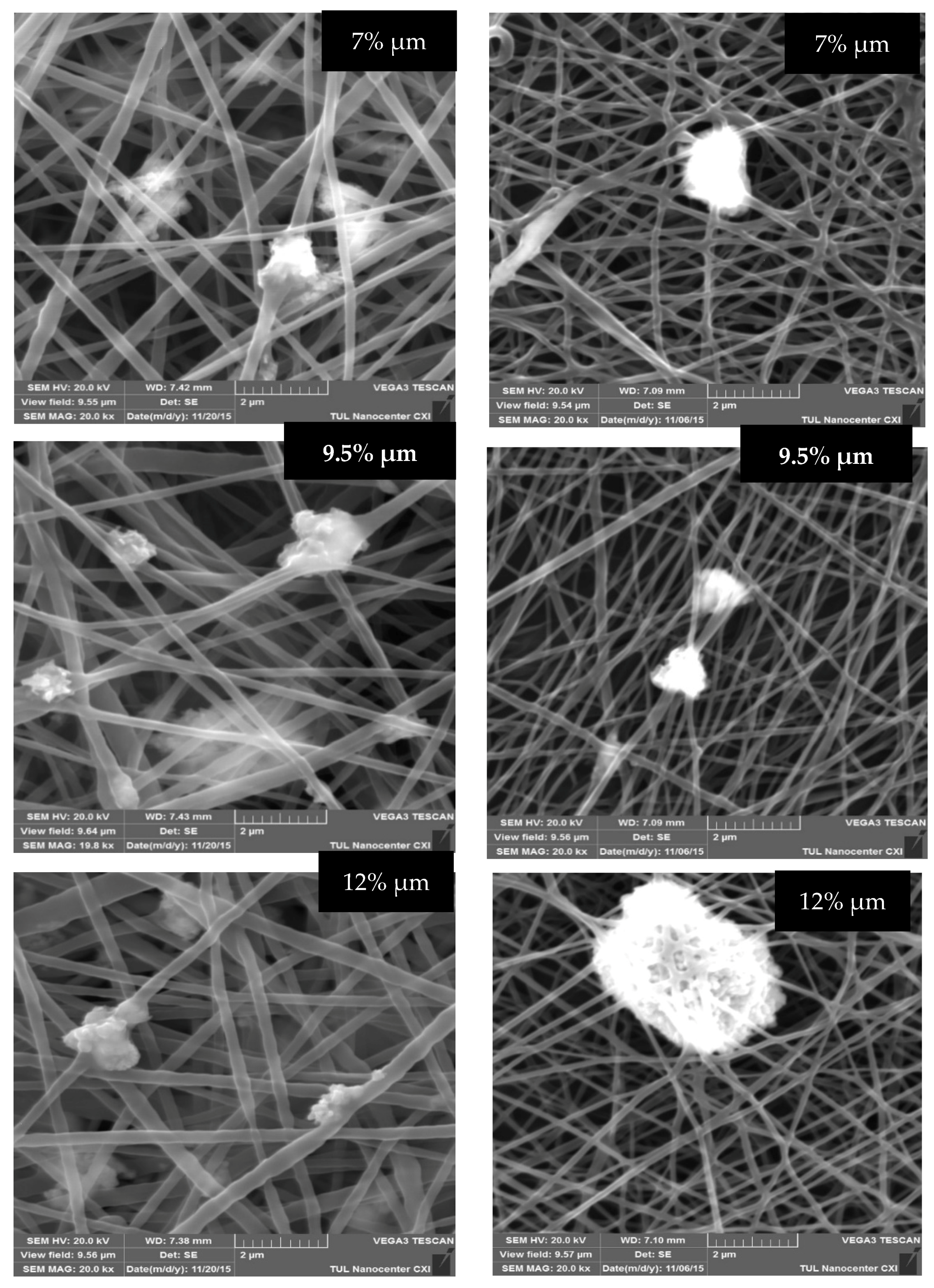 Molecules 26 01255 g003b